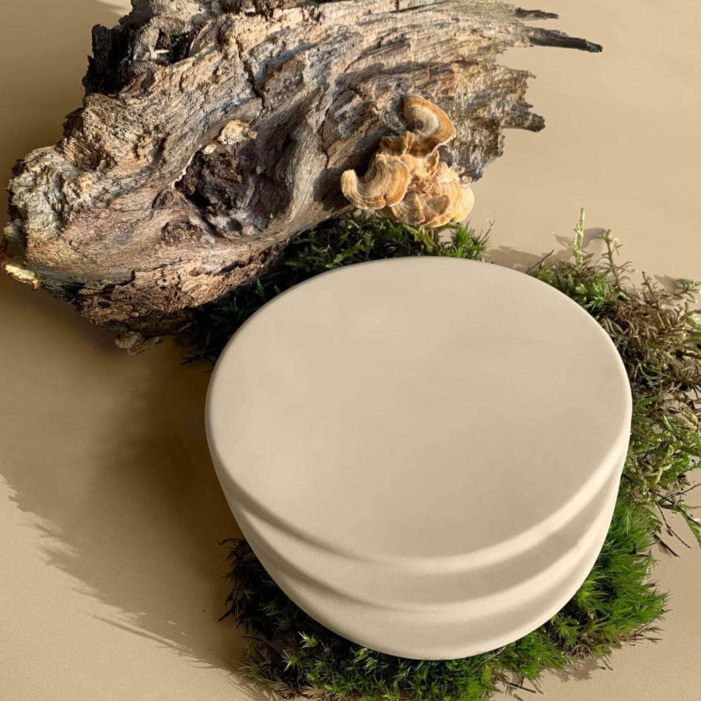 Coasters - Sandstone