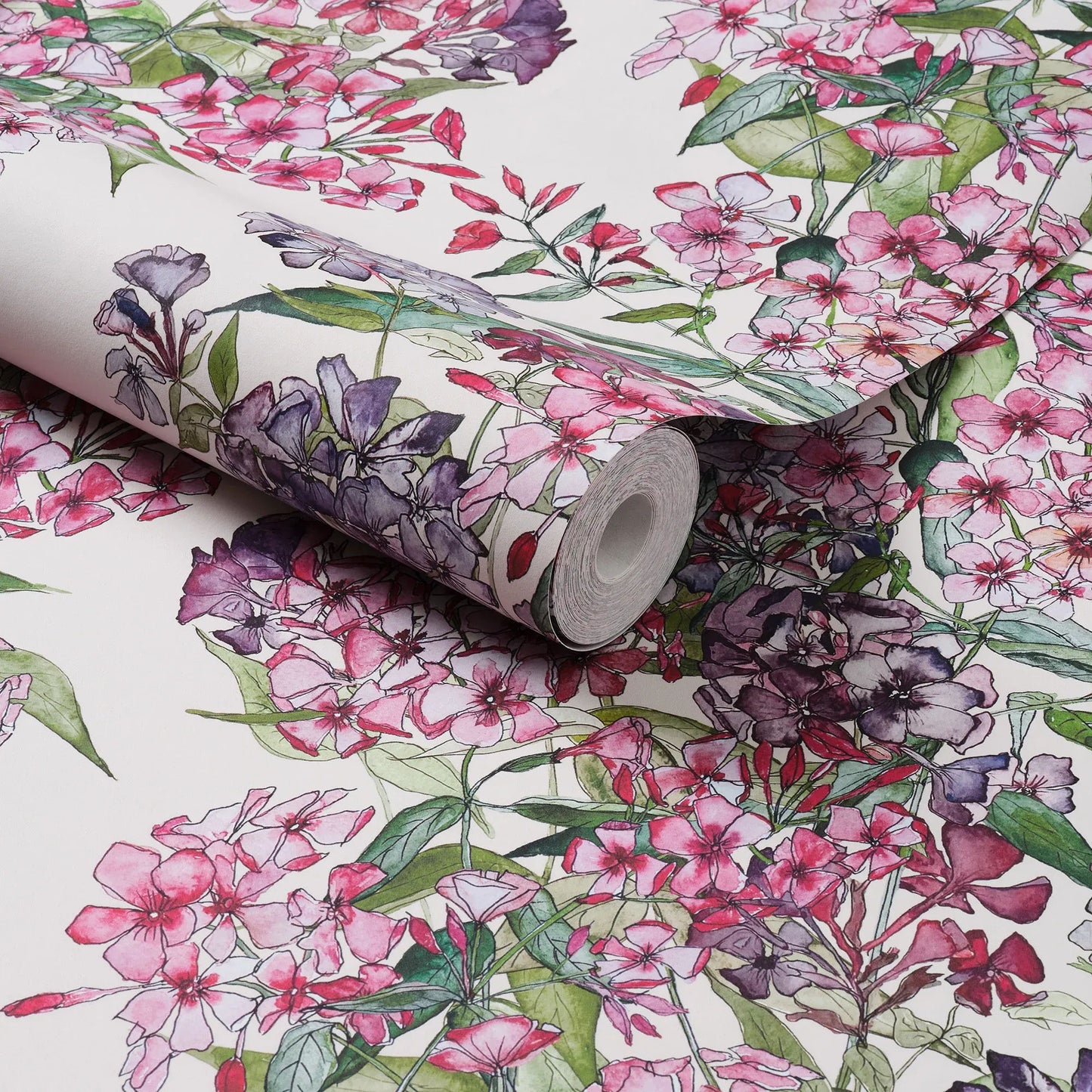 Mixed Phlox Rows Wallpaper