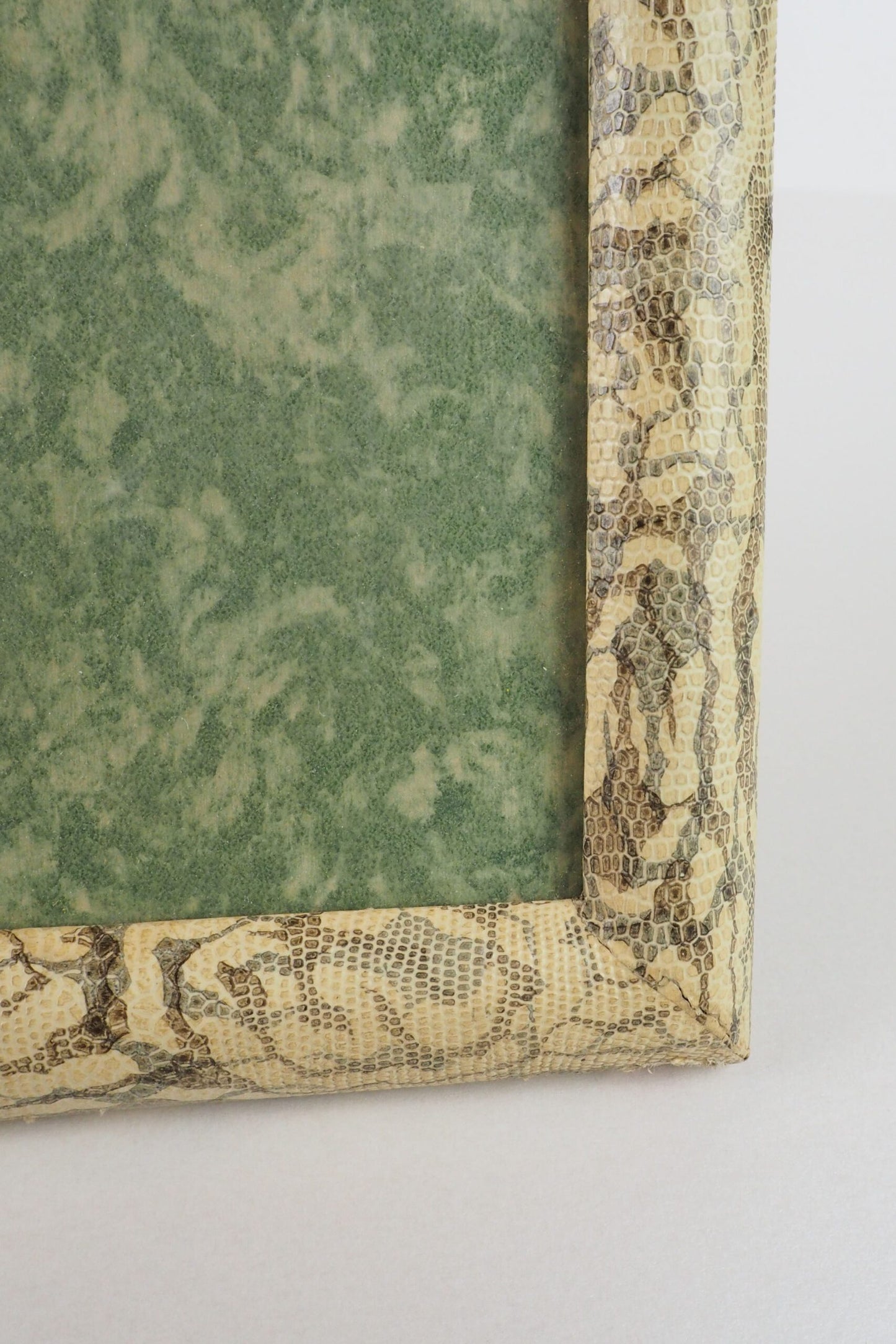 Antique Snake Print Frame