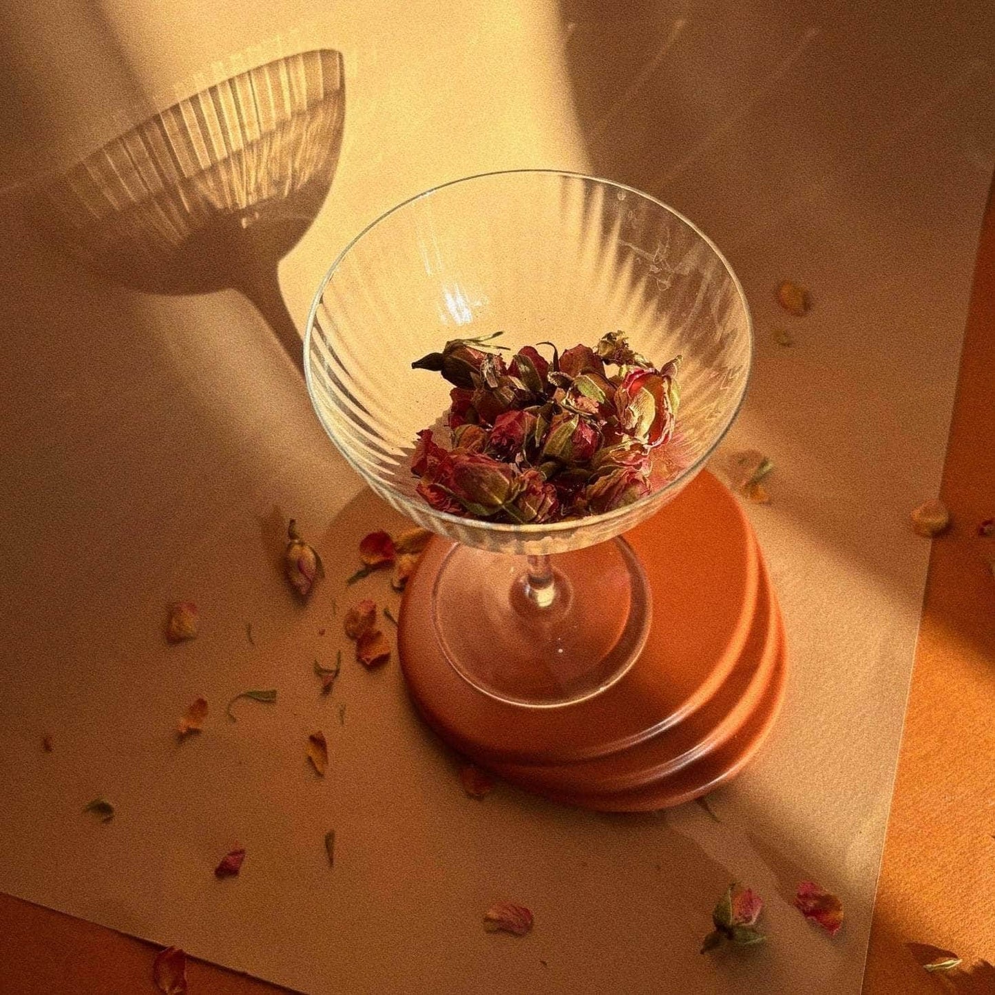 Coasters - Burnt Ochre