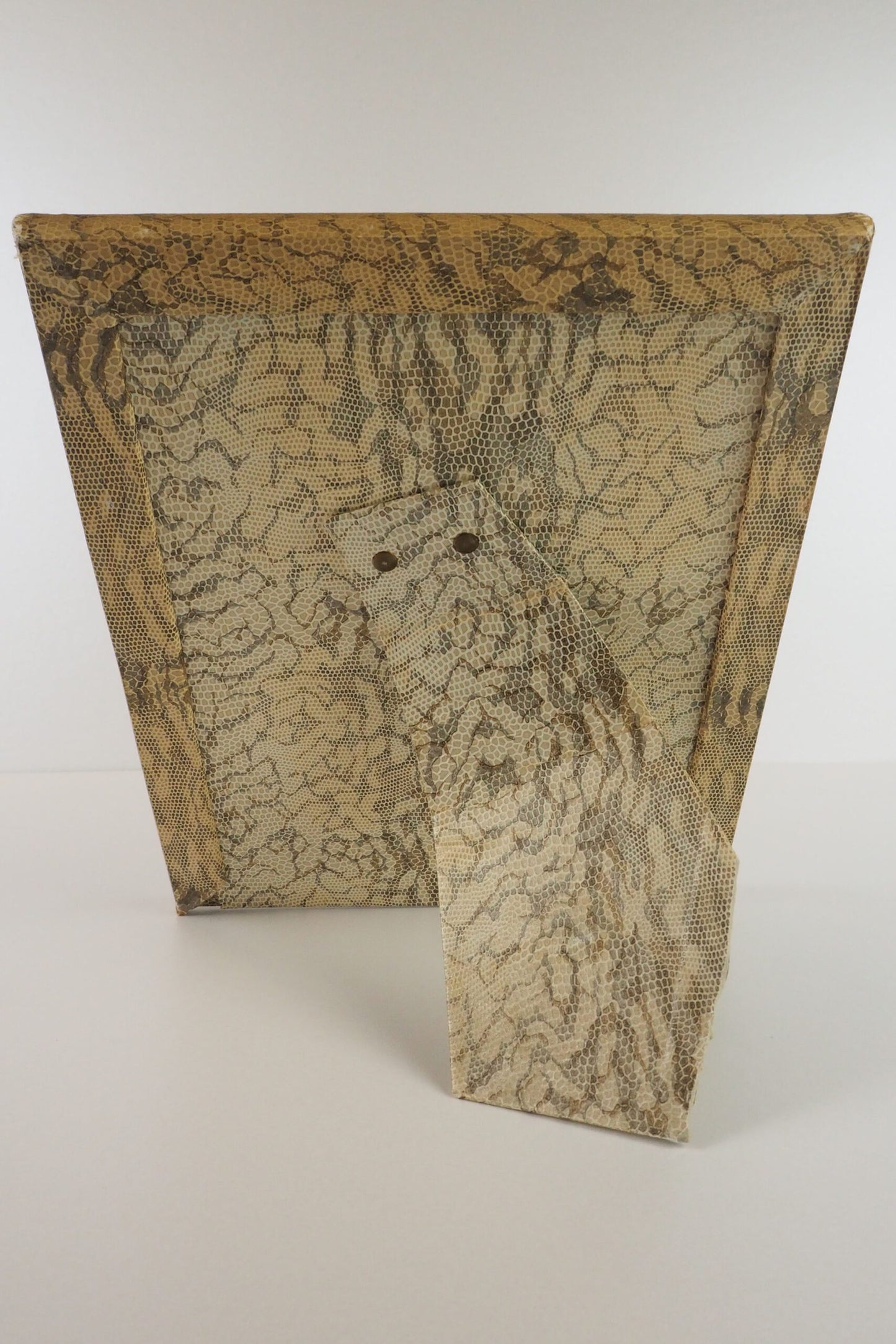 Antique Snake Print Frame