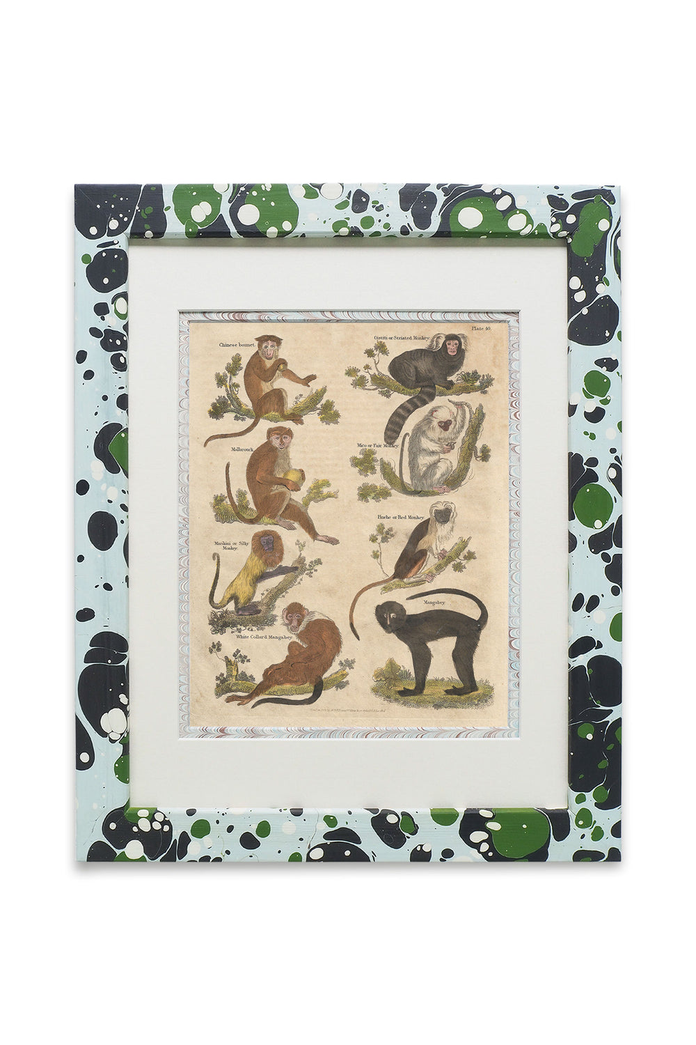 Buffon No.40 Glacier