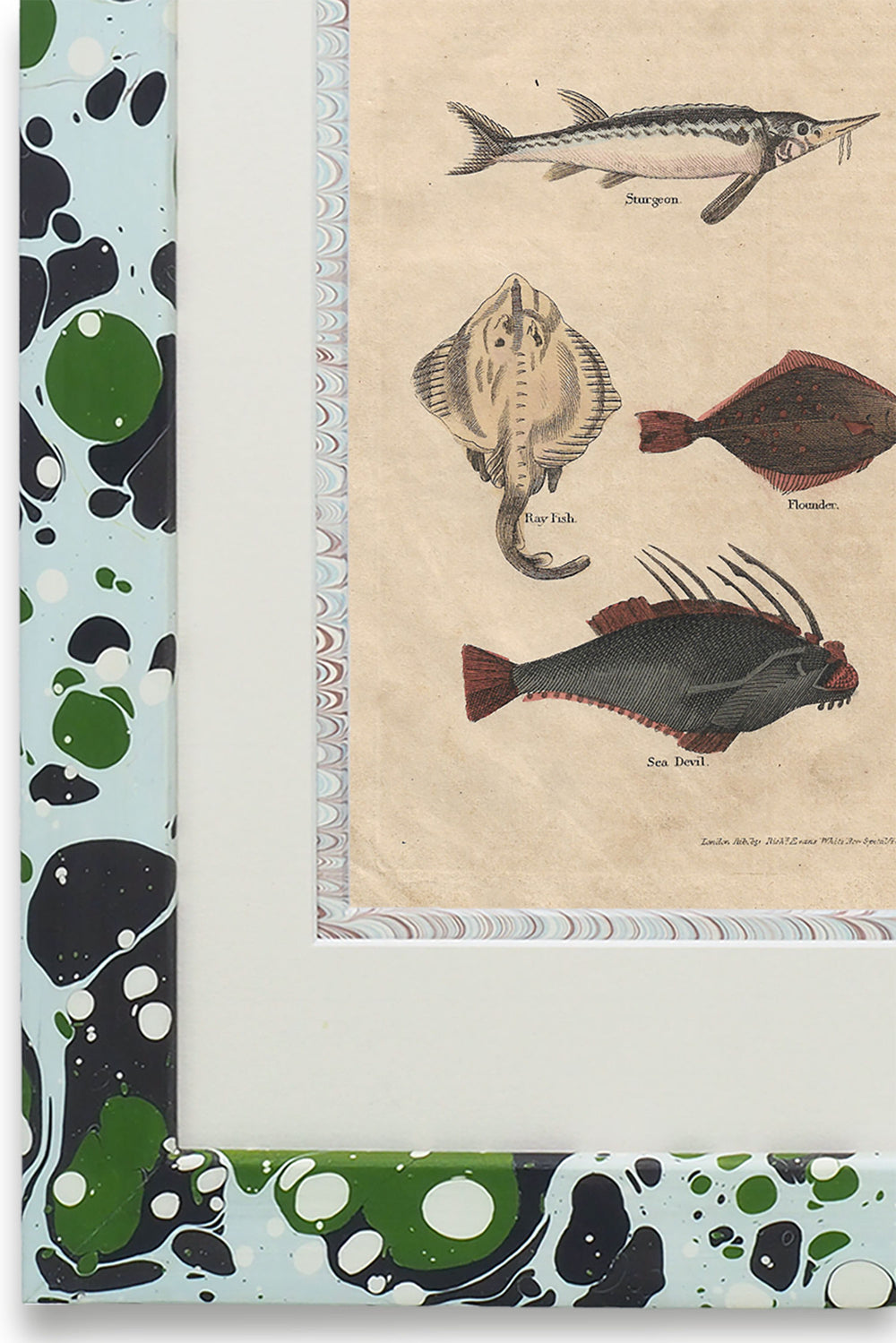 Buffon No.49 Glacier