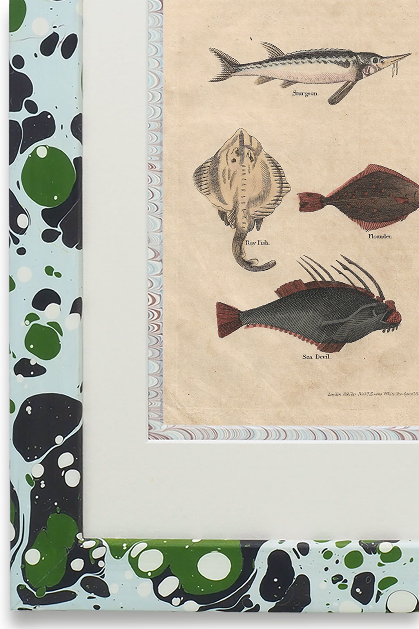 Buffon No.49 Glacier