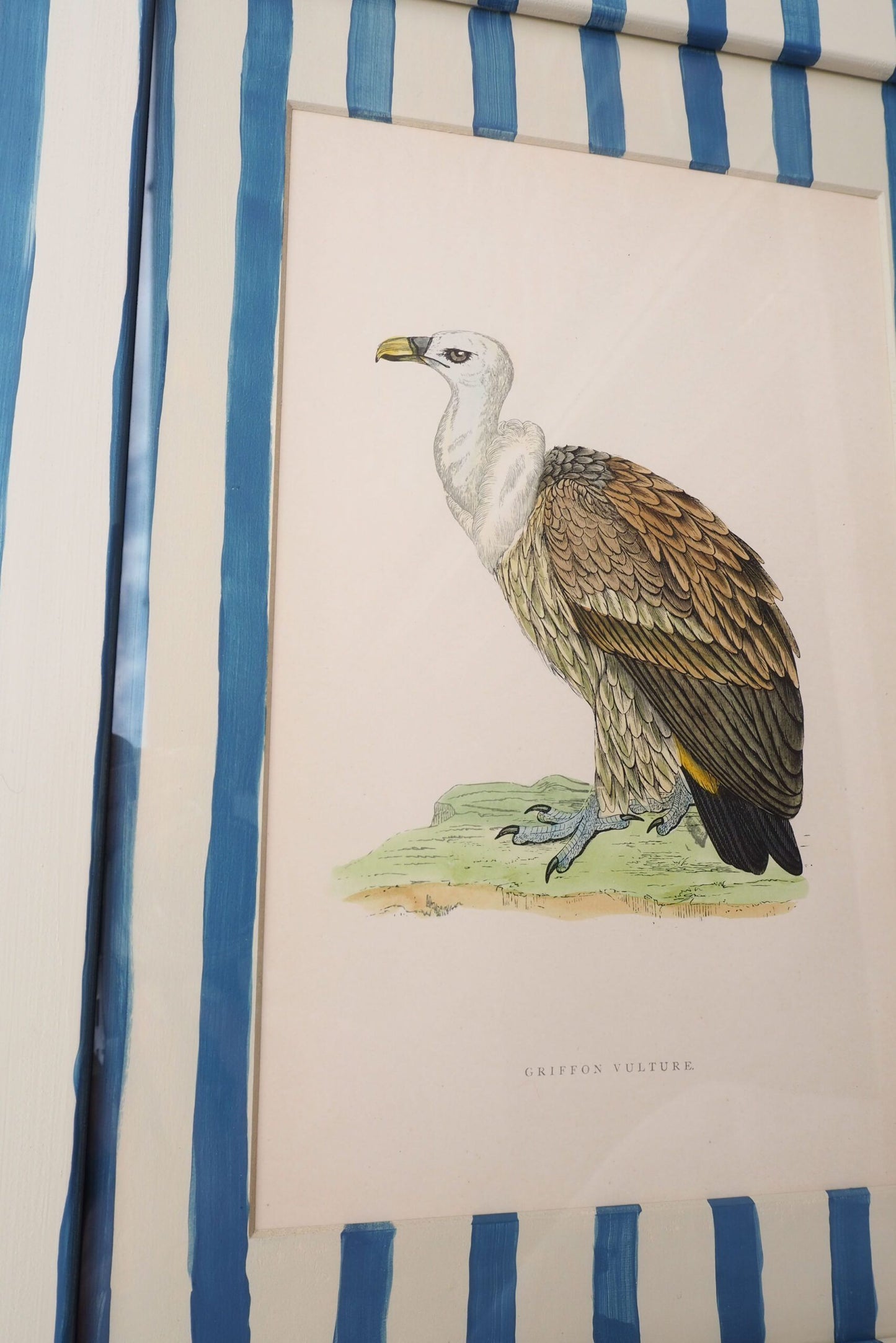 Antique Bird in Hand Painted Frame