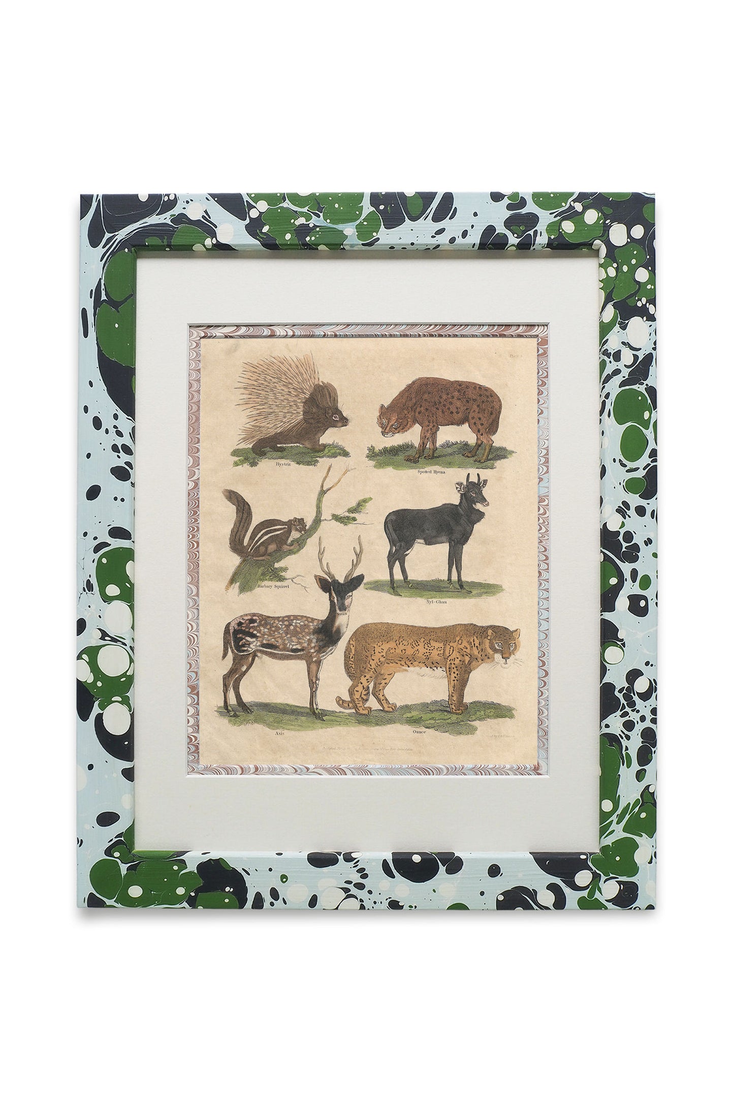 Buffon No.3 Glacier Framed Print