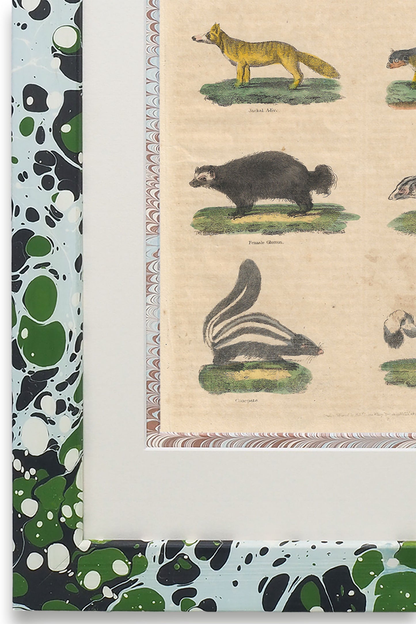 Buffon No.23 Glacier Framed Print