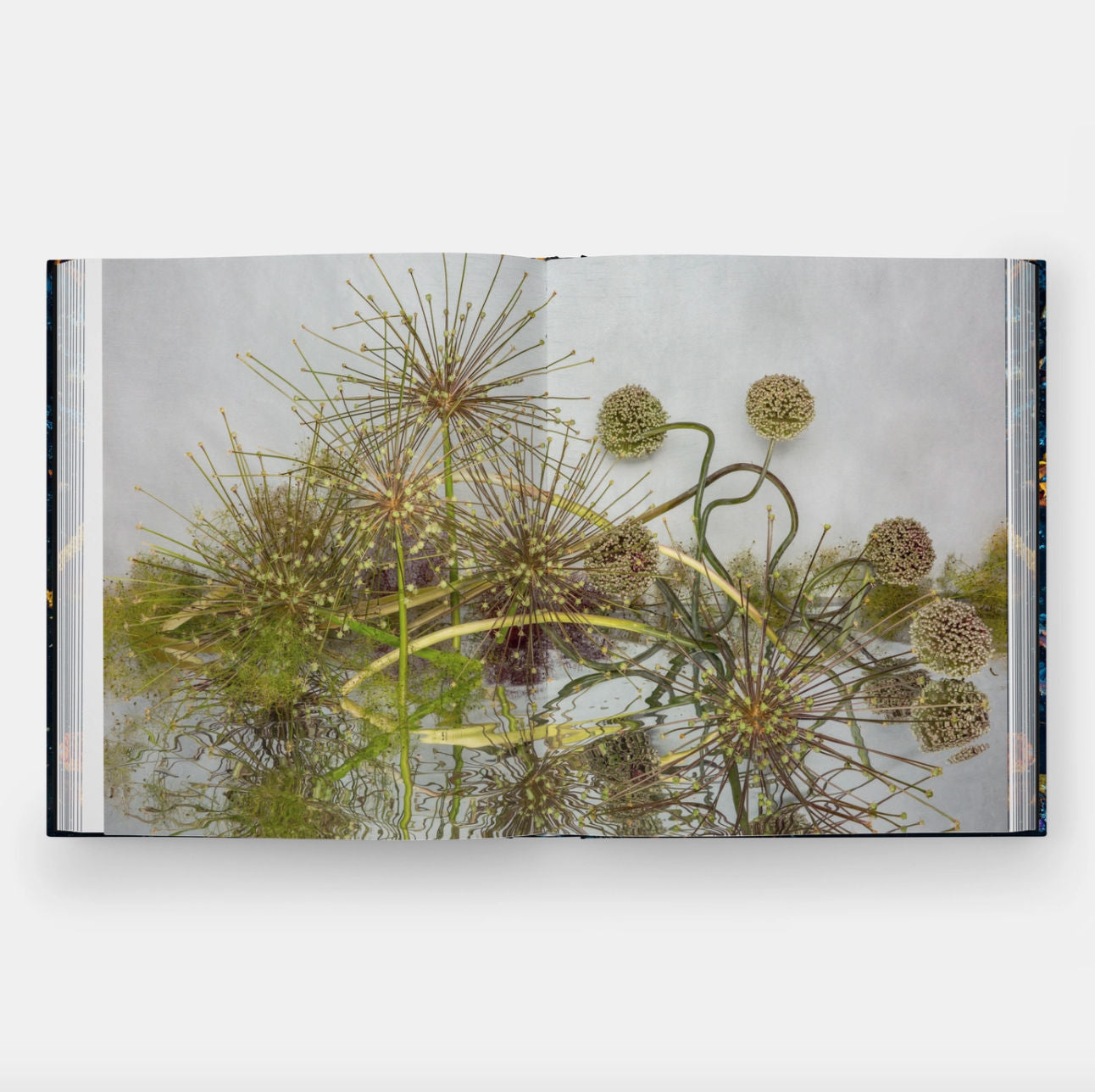 Emily Thompson Flowers