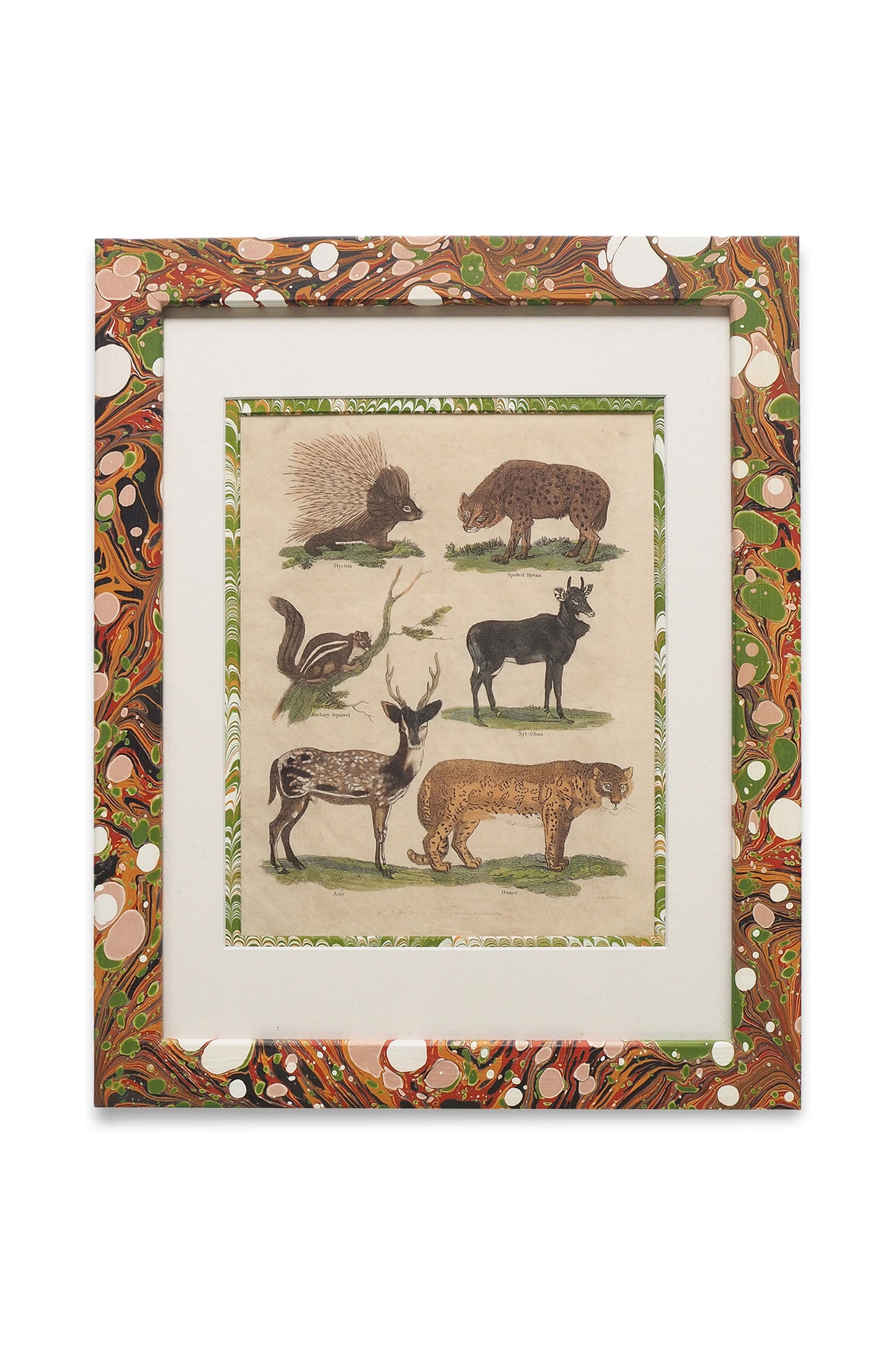 Buffon No.3 Glacier Framed Print