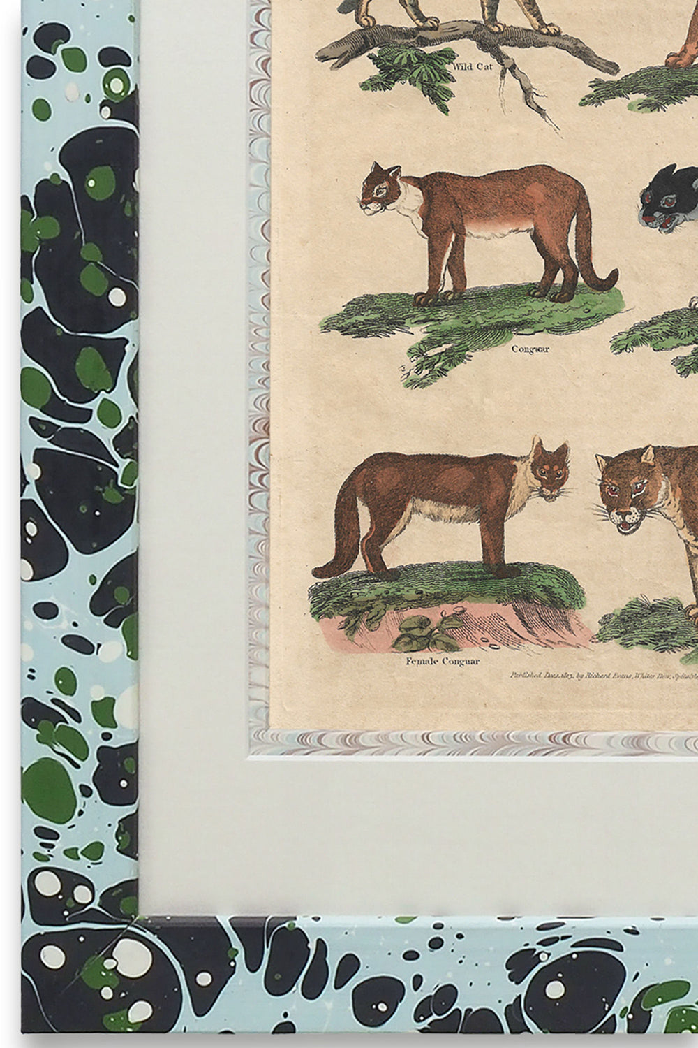 Buffon No.6 Glacier Framed Print