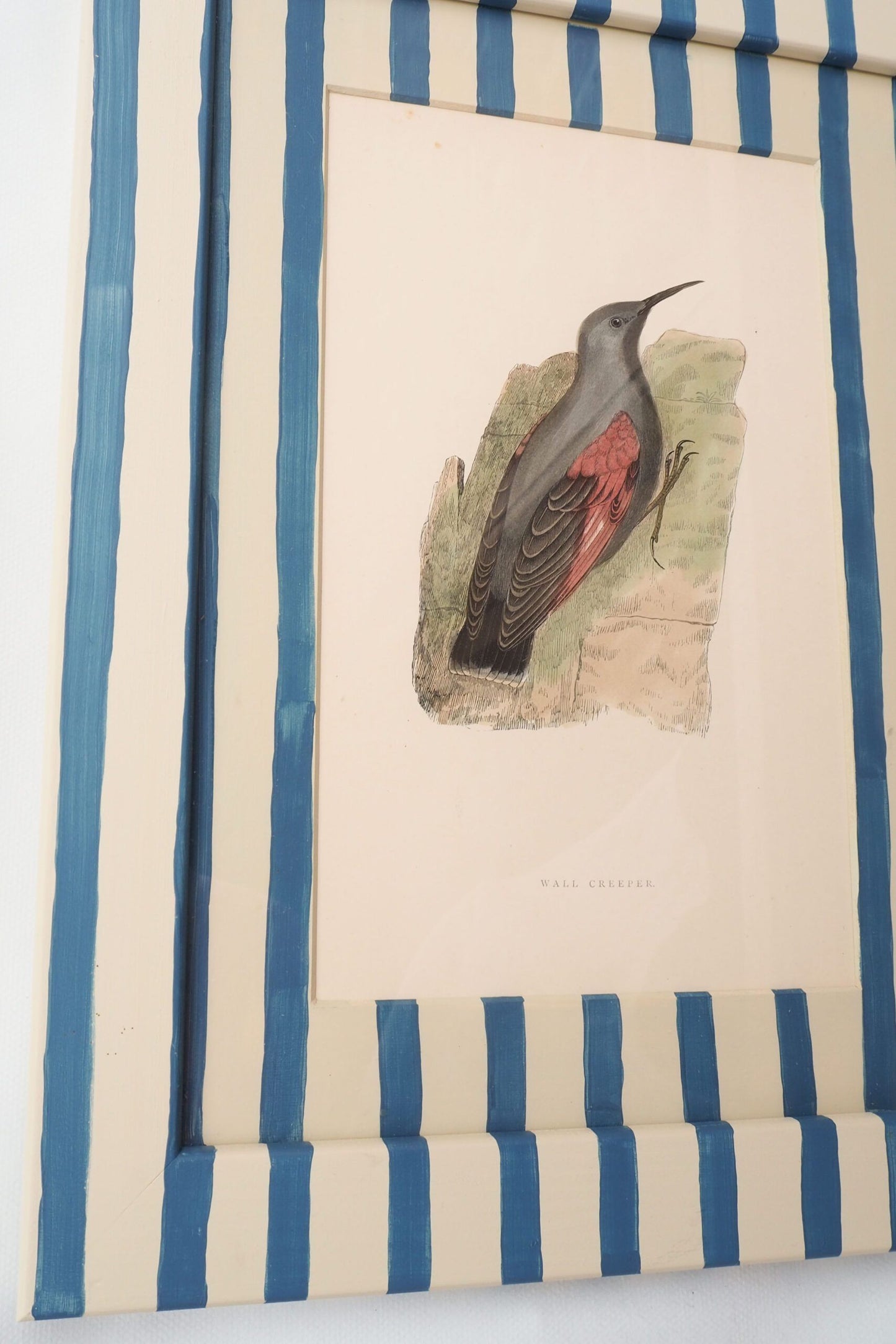 Antique Bird in Hand Painted Frame