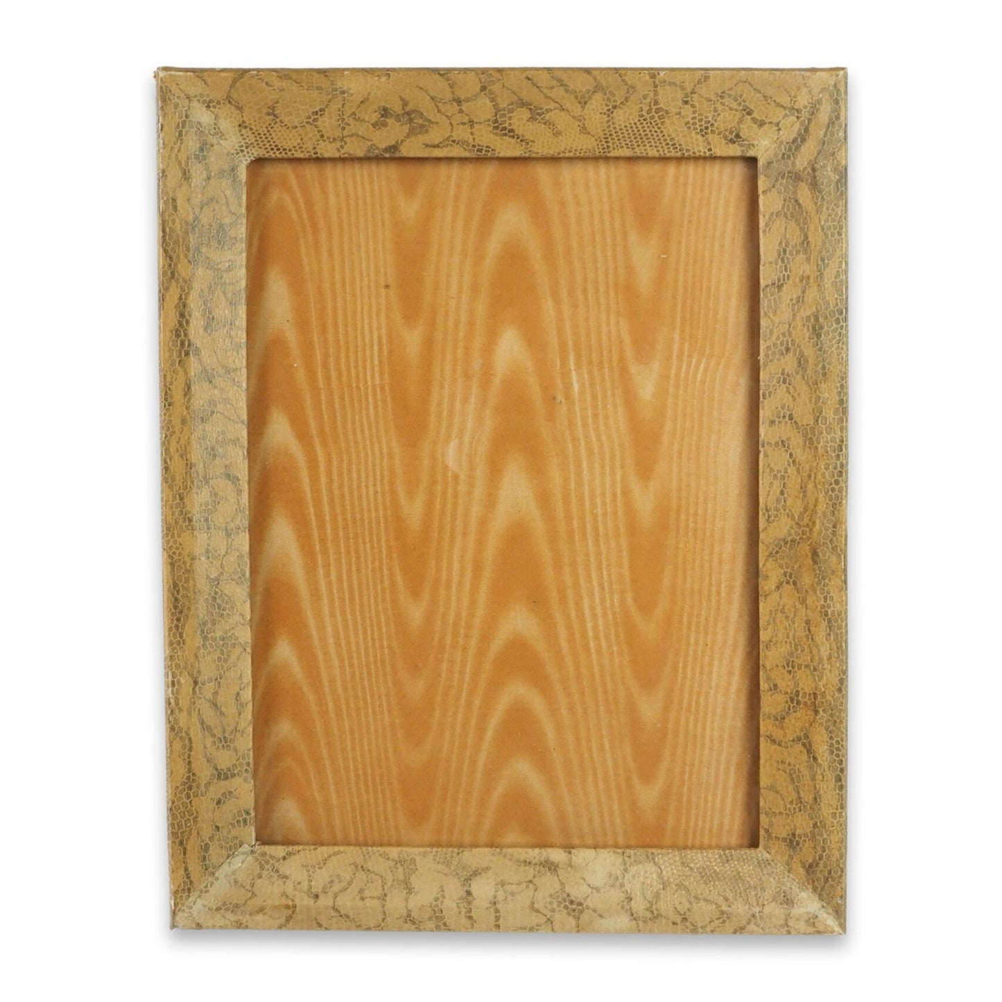 Antique Snake Print Frame