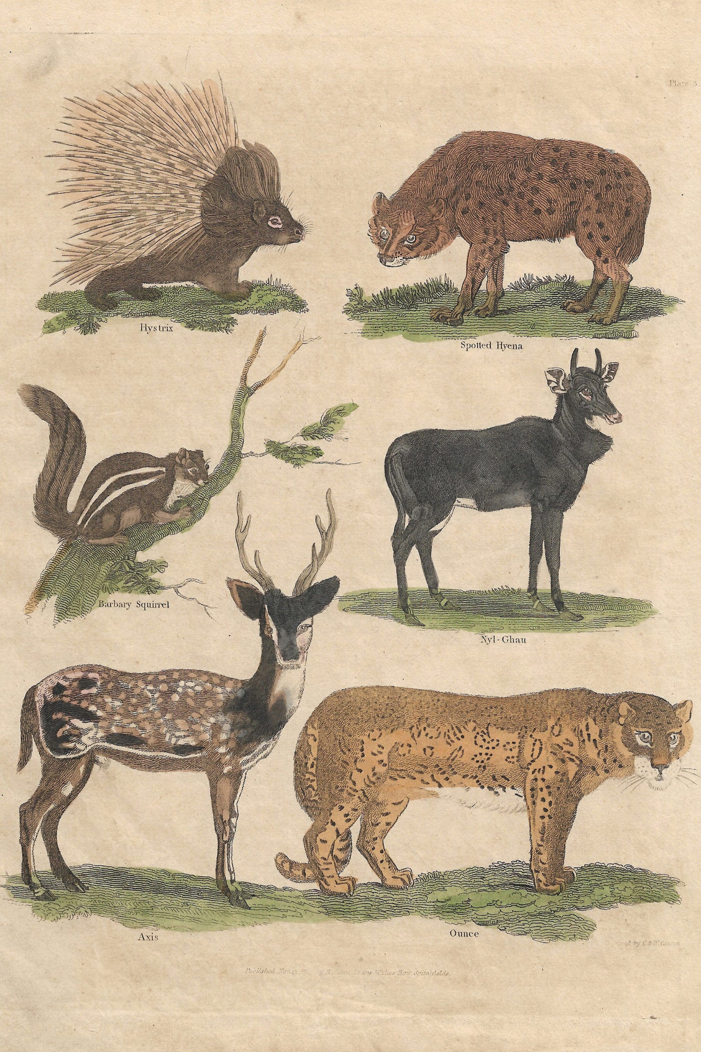 Buffon No.3 Glacier Framed Print