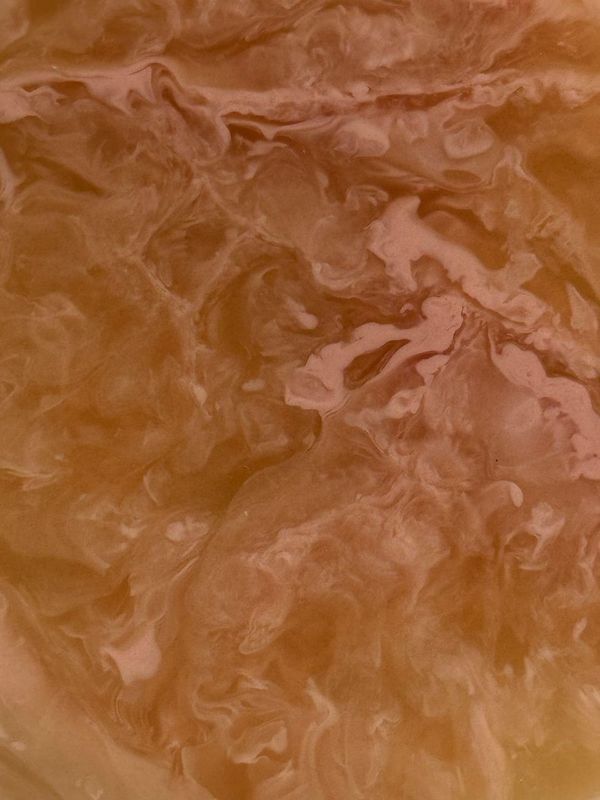 Coaster | Coral