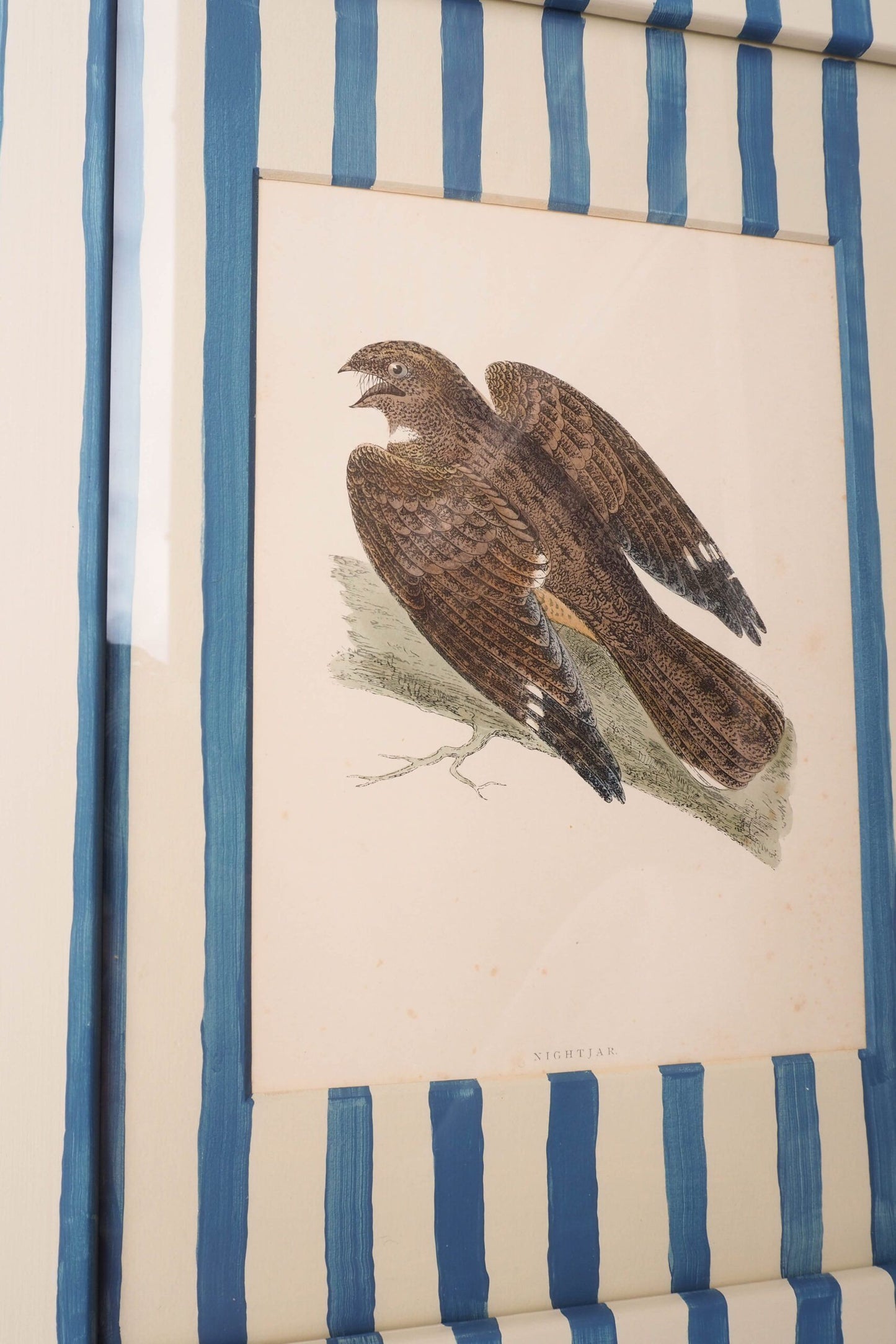 Antique Bird in Hand Painted Frame