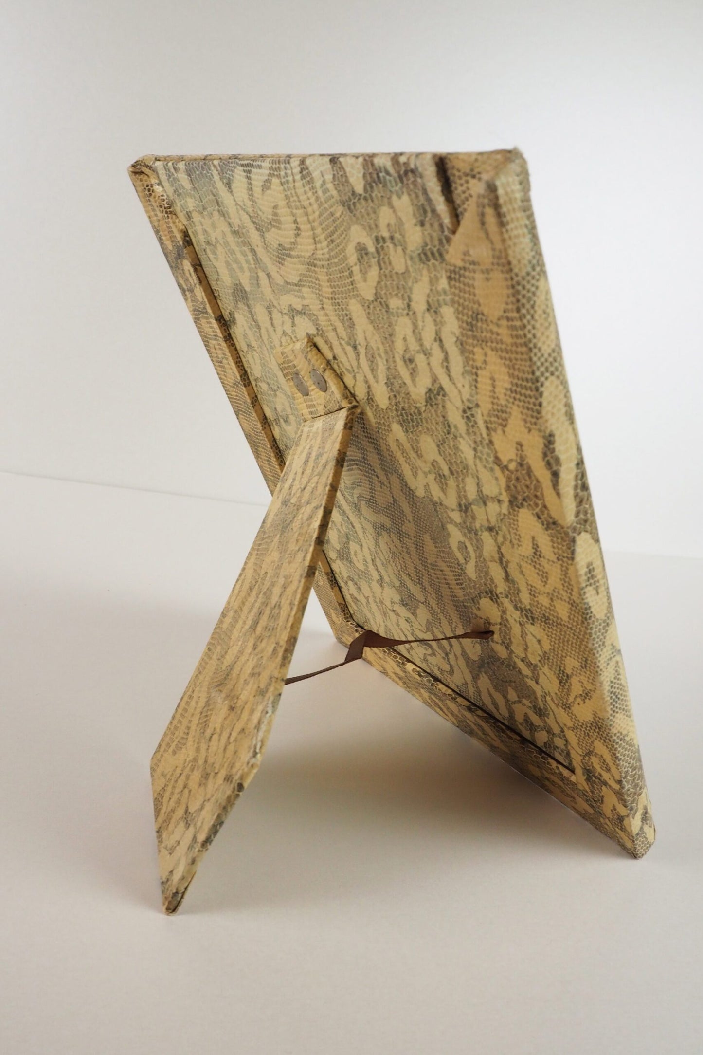 Antique Snake Print Frame