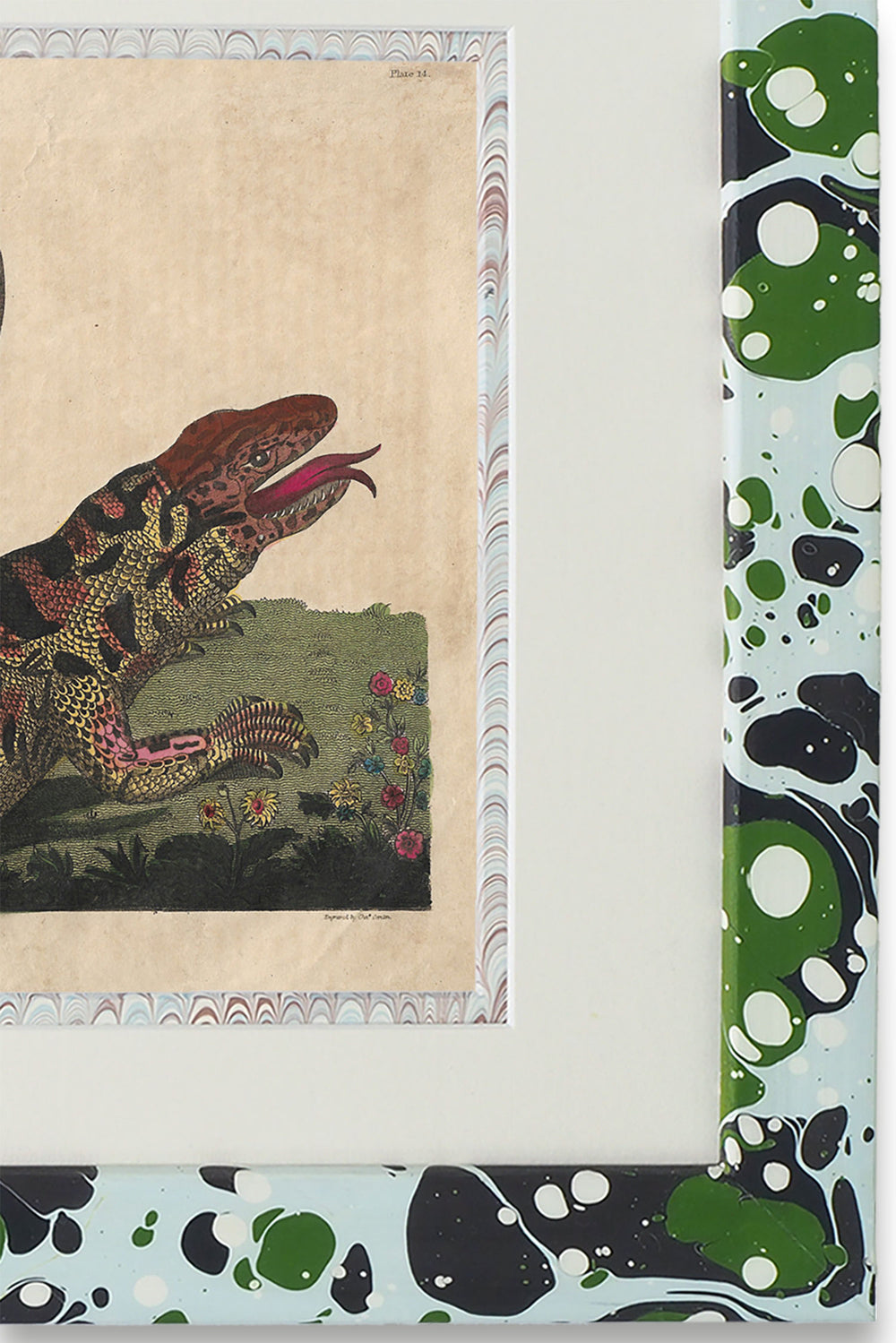 Buffon No.14 Glacier Framed Print