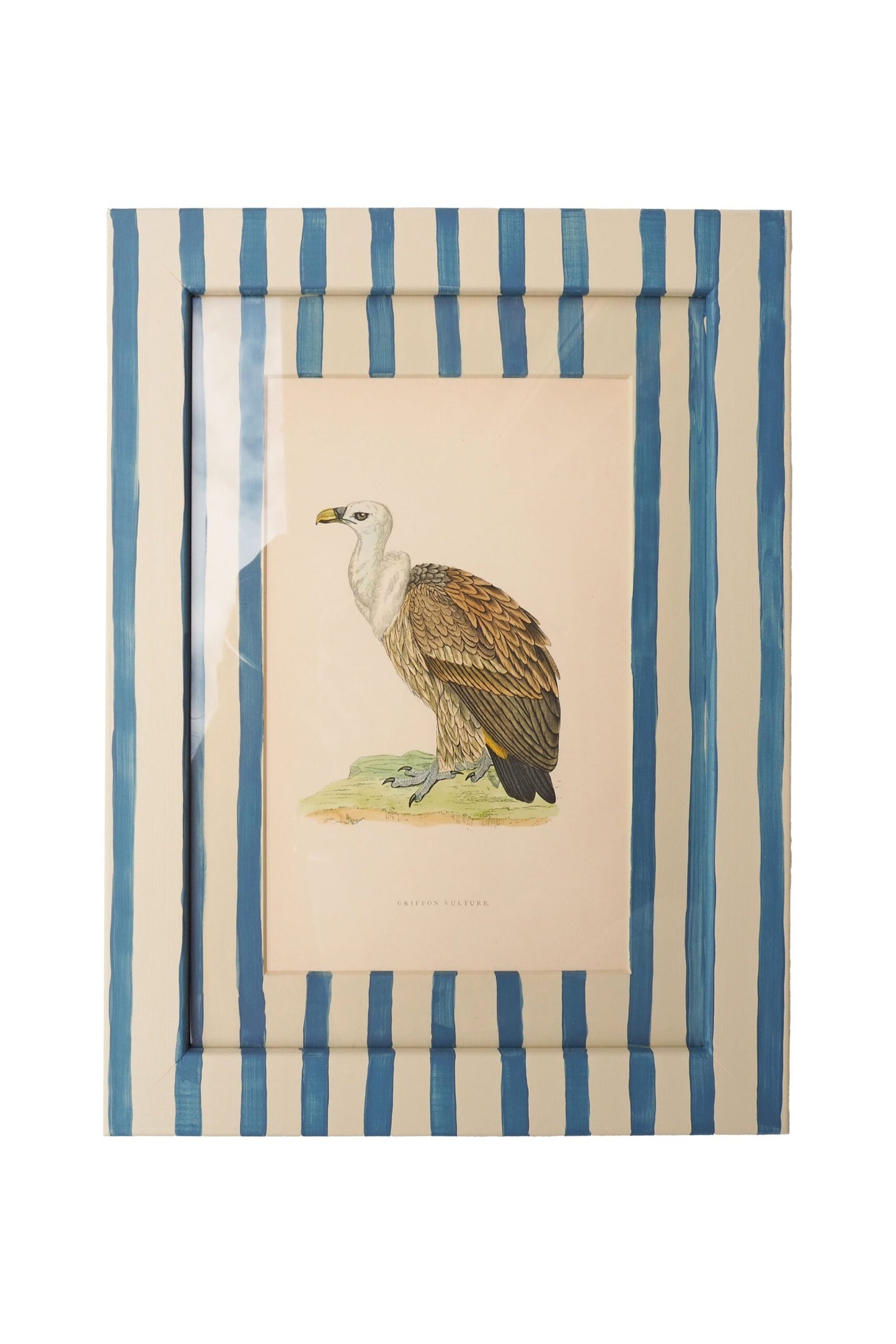 Antique Bird in Hand Painted Frame