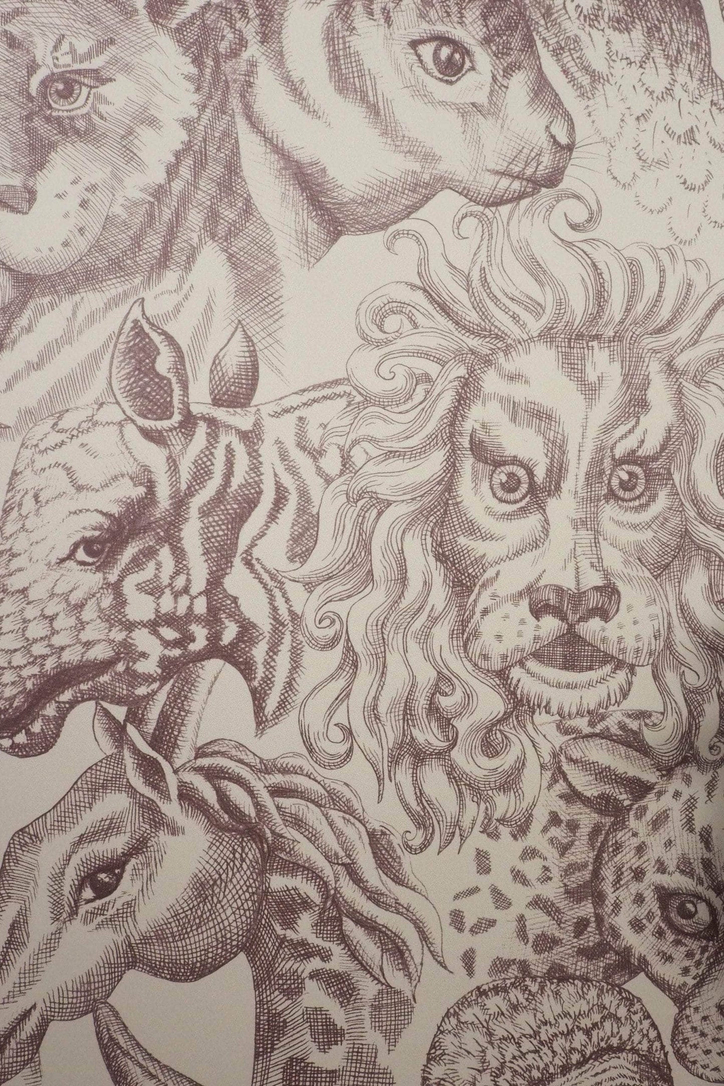 Rara Off White Wallpaper