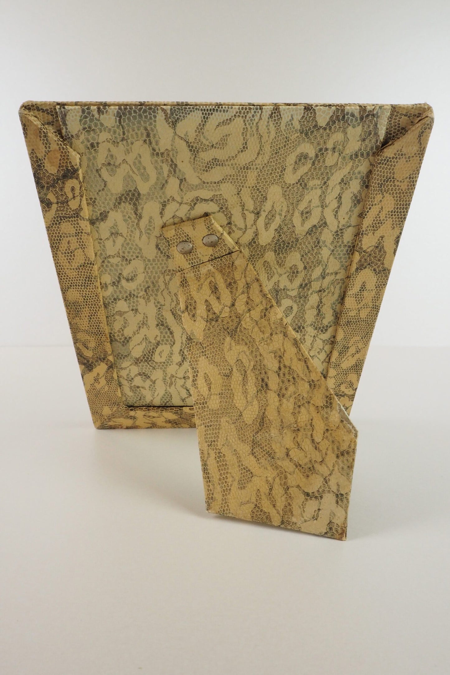 Antique Snake Print Frame