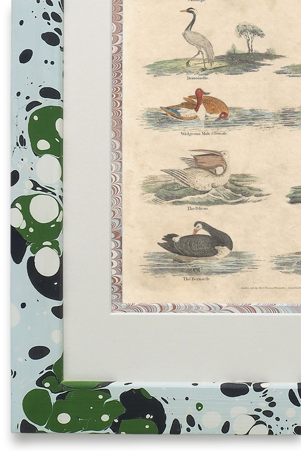 Buffon No.45 Glacier