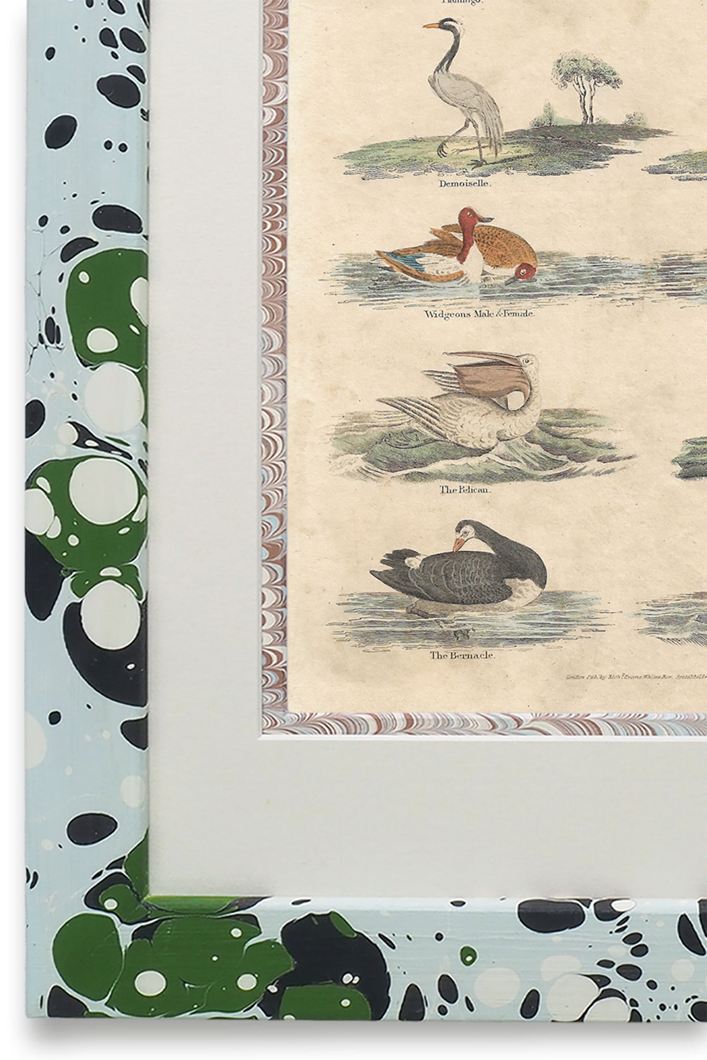 Buffon No.45 Glacier