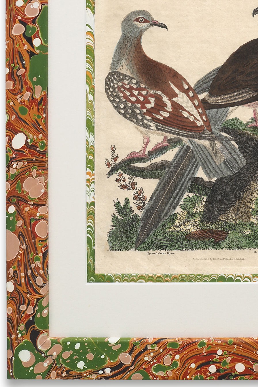 Buffon No.26 Igneus Framed Print