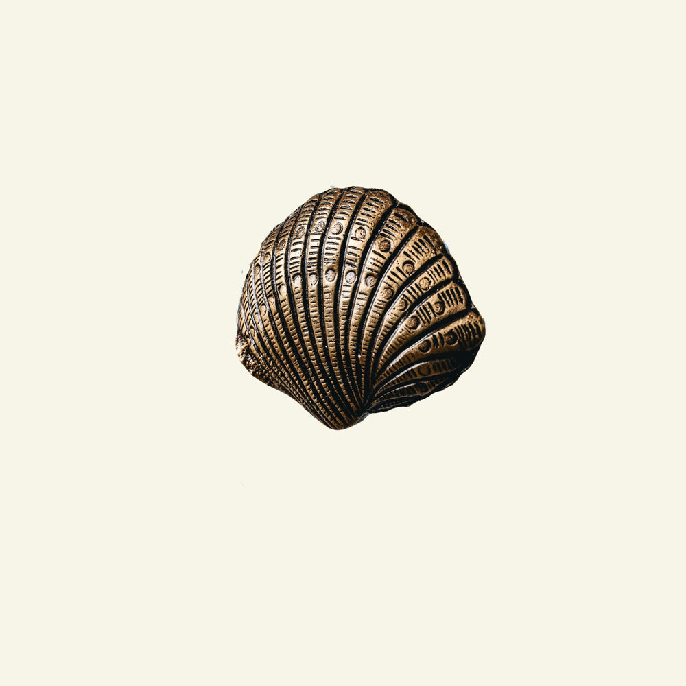 Cockle Shell Knob, Antique Brass