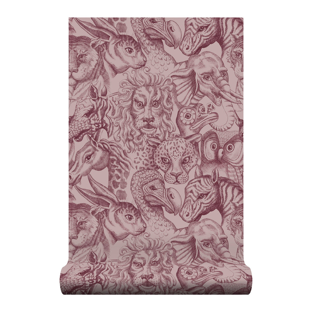 Rara Amaryllis Wallpaper