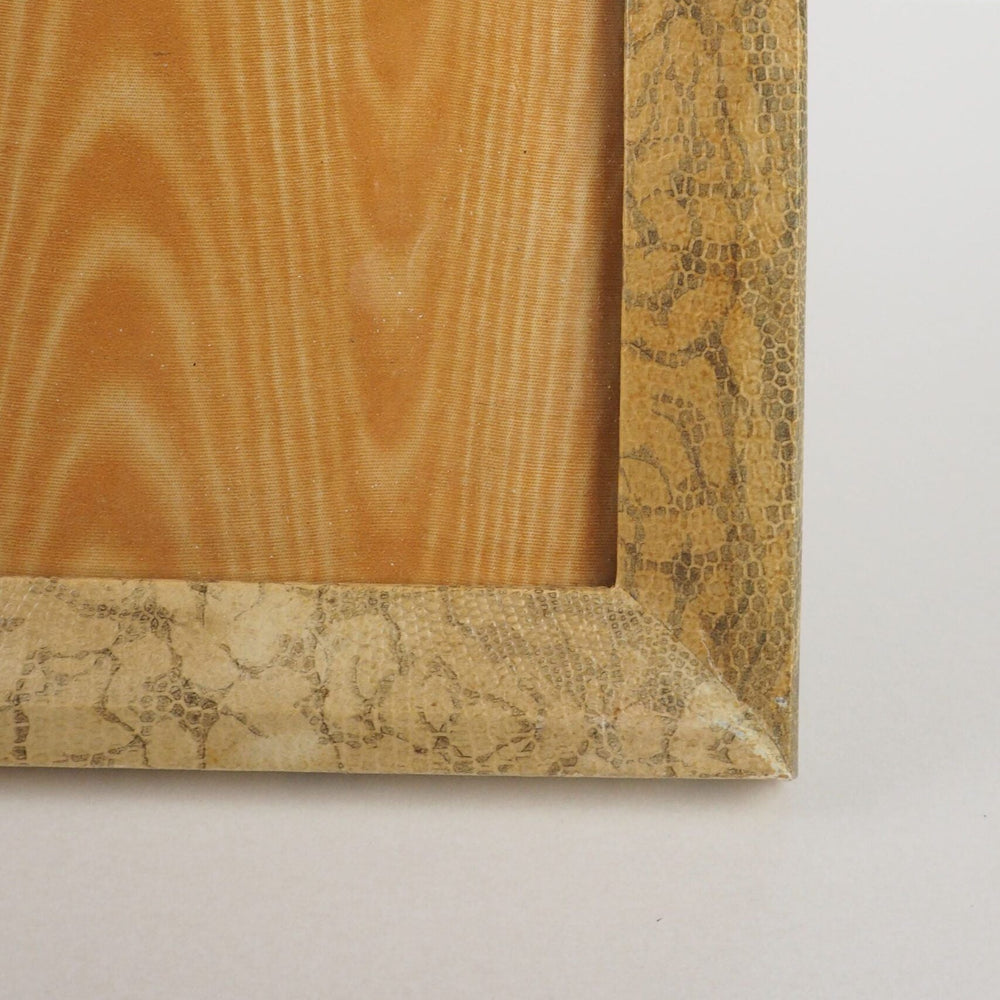Antique Snake Print Frame
