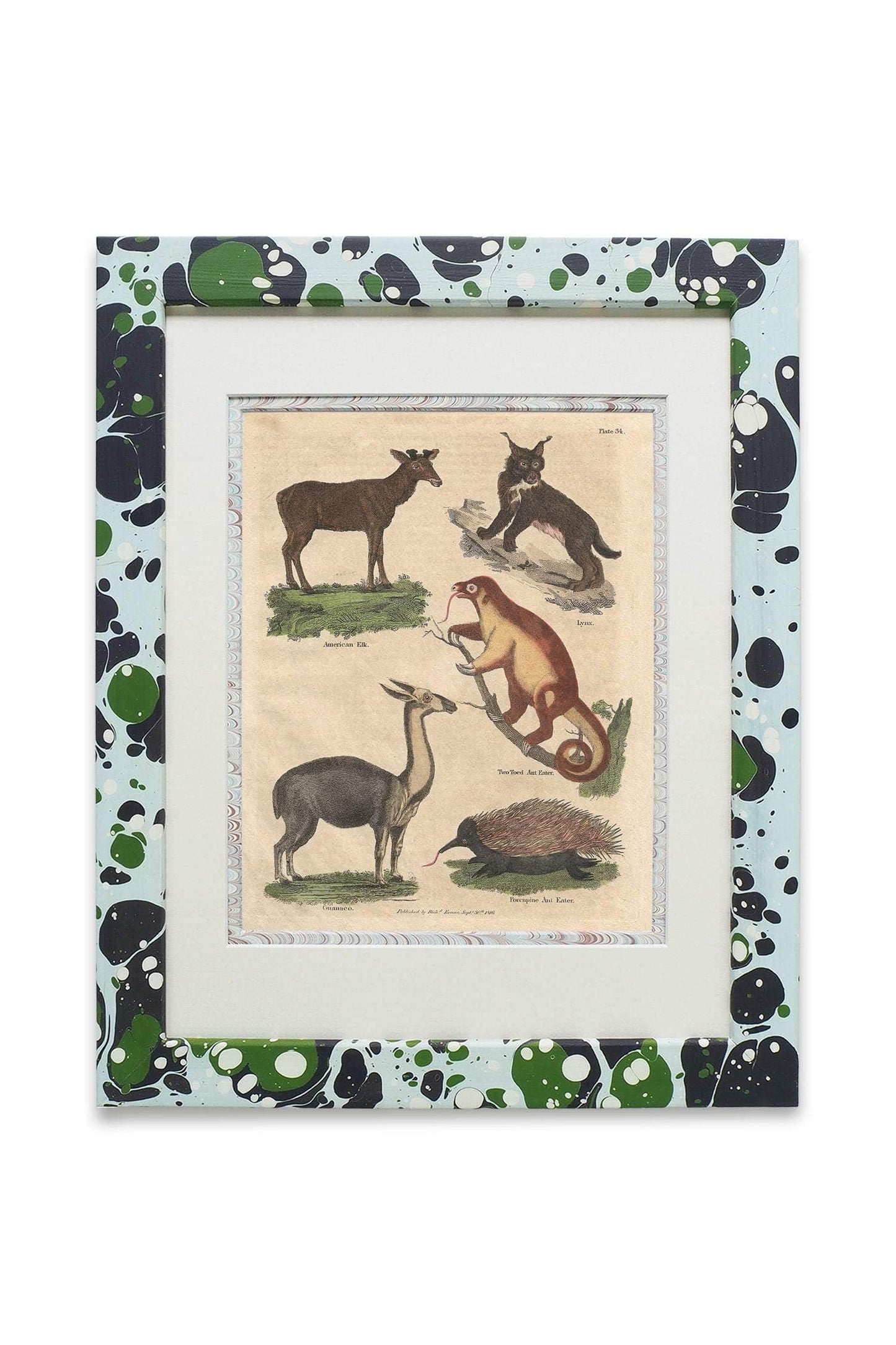 Buffon No.34 Glacier Framed Print