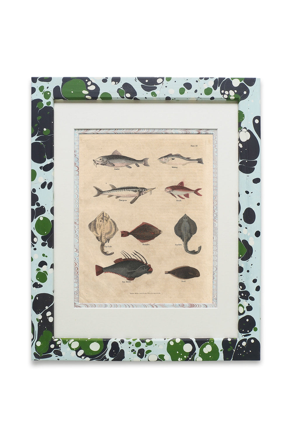 Buffon No.49 Glacier