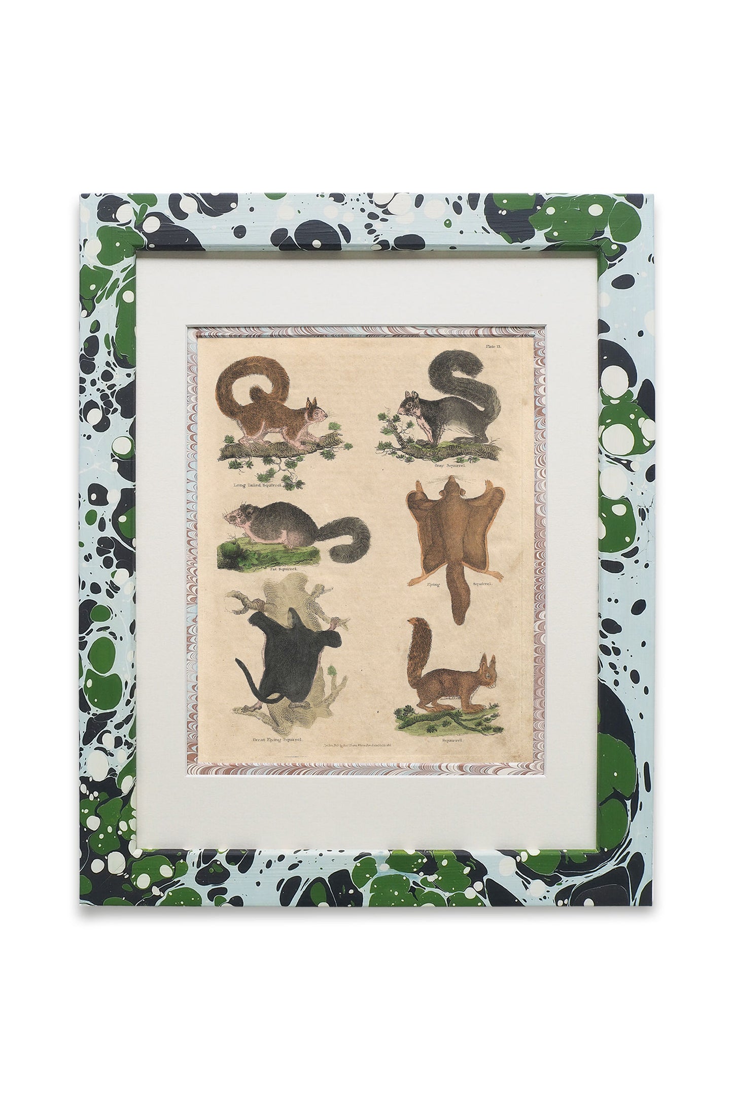 Buffon No.11 Glacier Framed Print