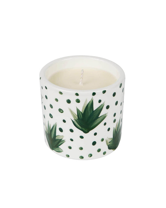 Plants and Spots Candle