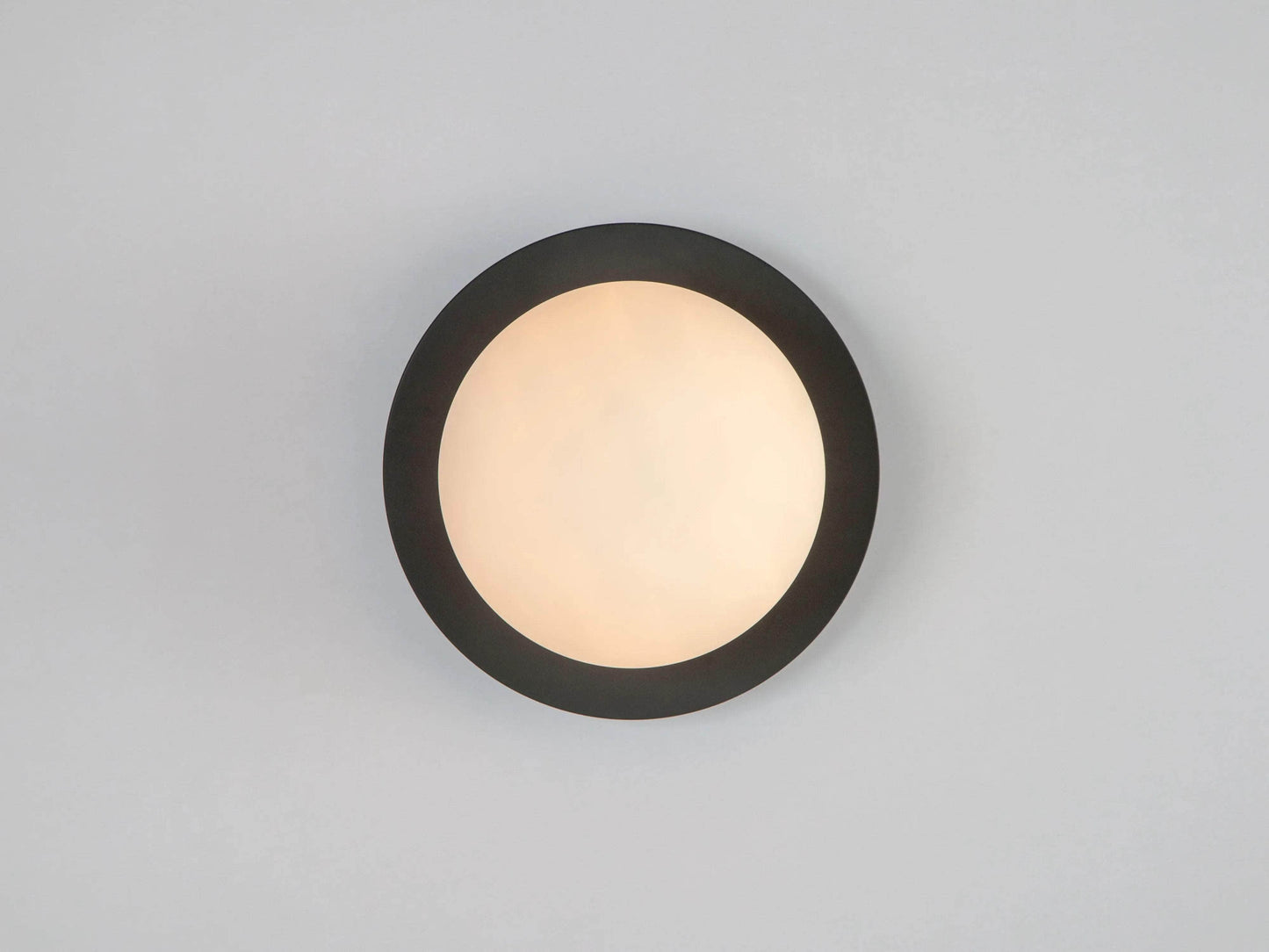 Charcoal grey opal disk wall light