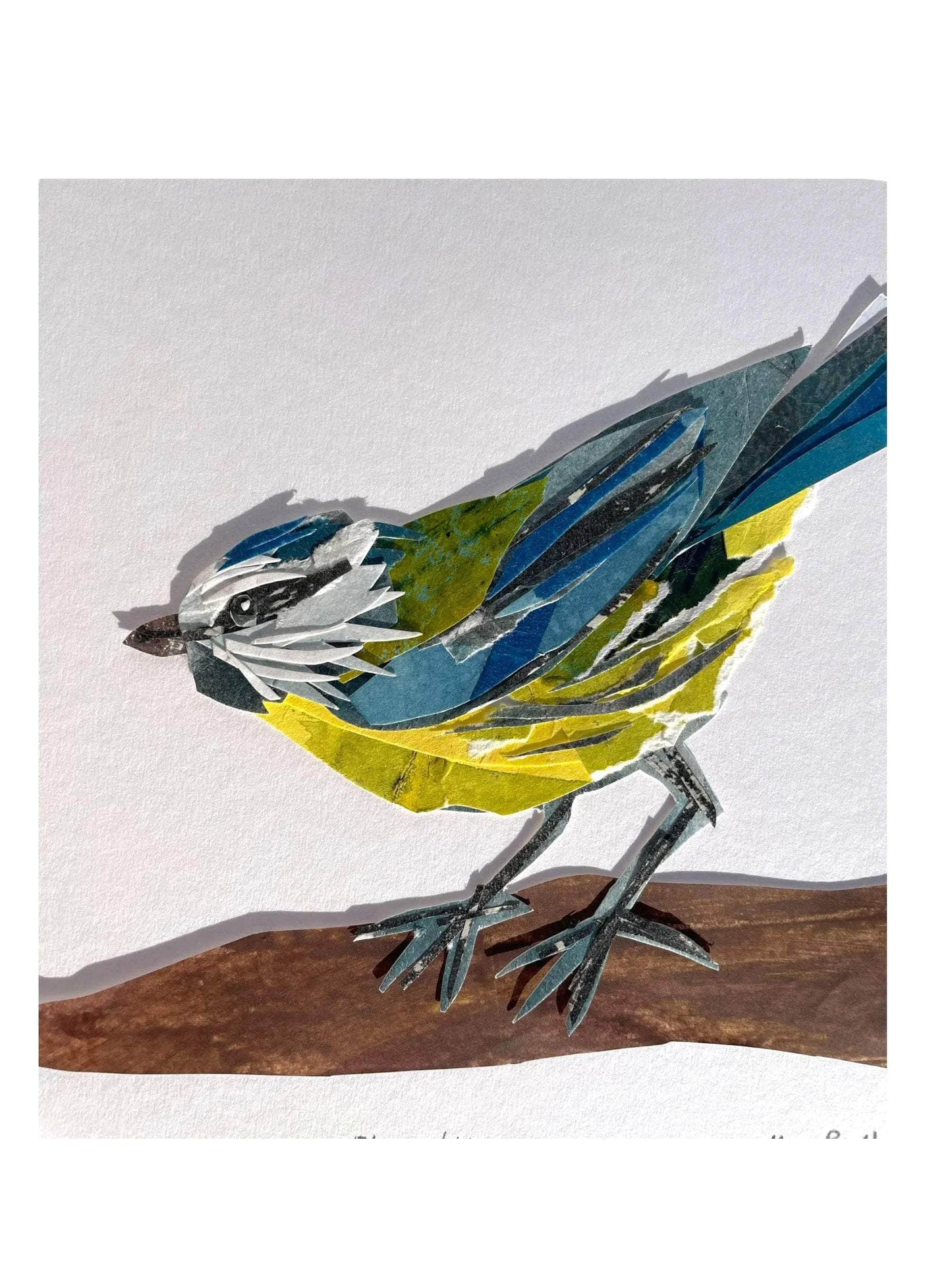 Original Blue Tit Bird Collage Art Piece