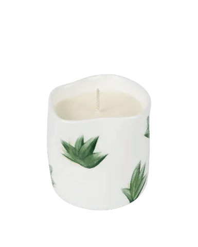 Plants Candle