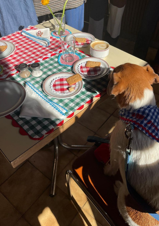 Top Tablescape Trends for Summer 2023