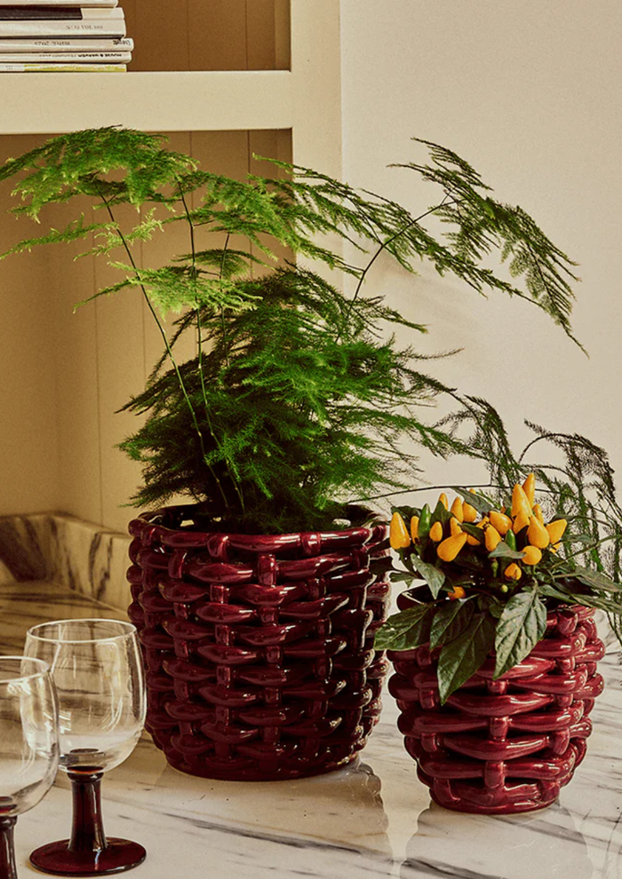 This Winter's Best Accent By An Interiors Expert