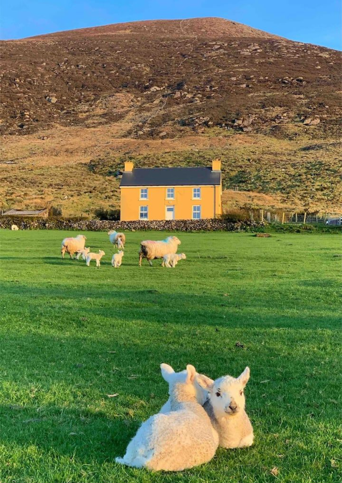 The Best 11 Staycations in Ireland