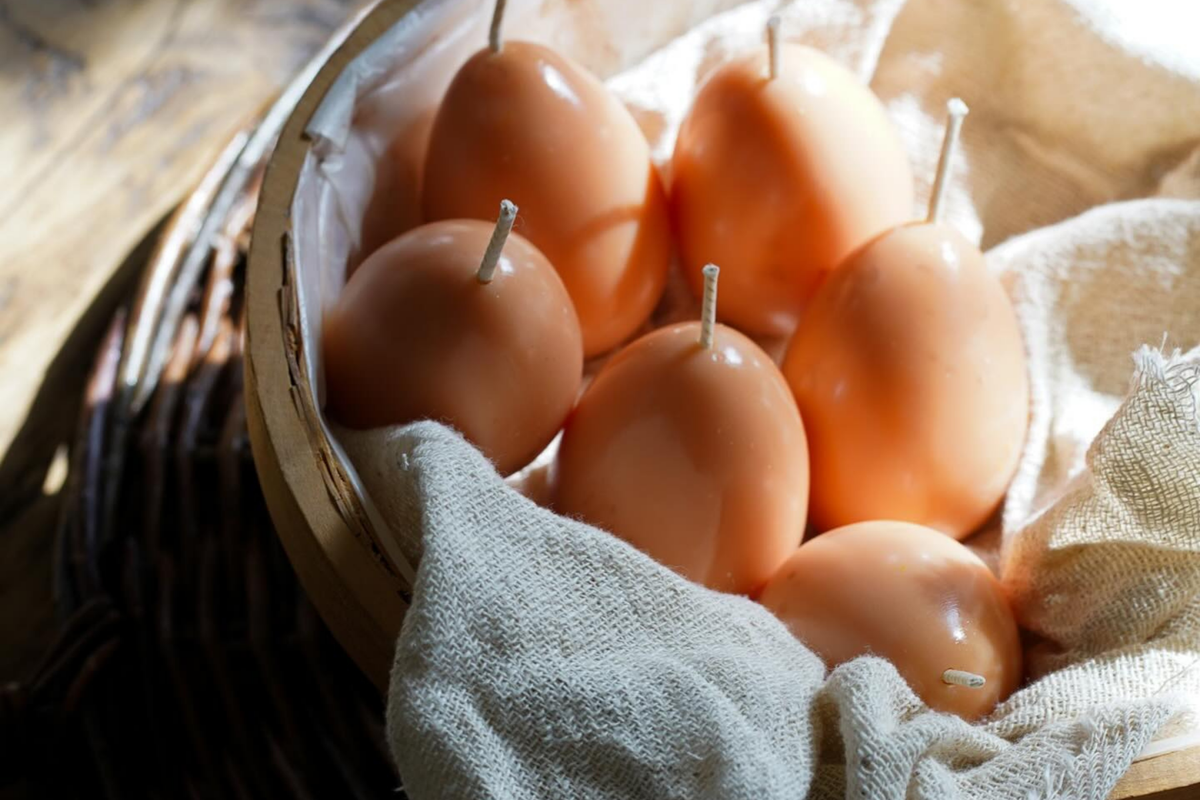 FALLOW CANDLES