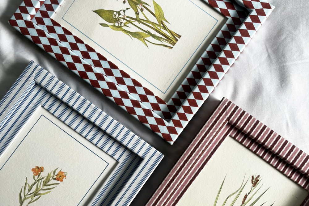 The Pia Frames