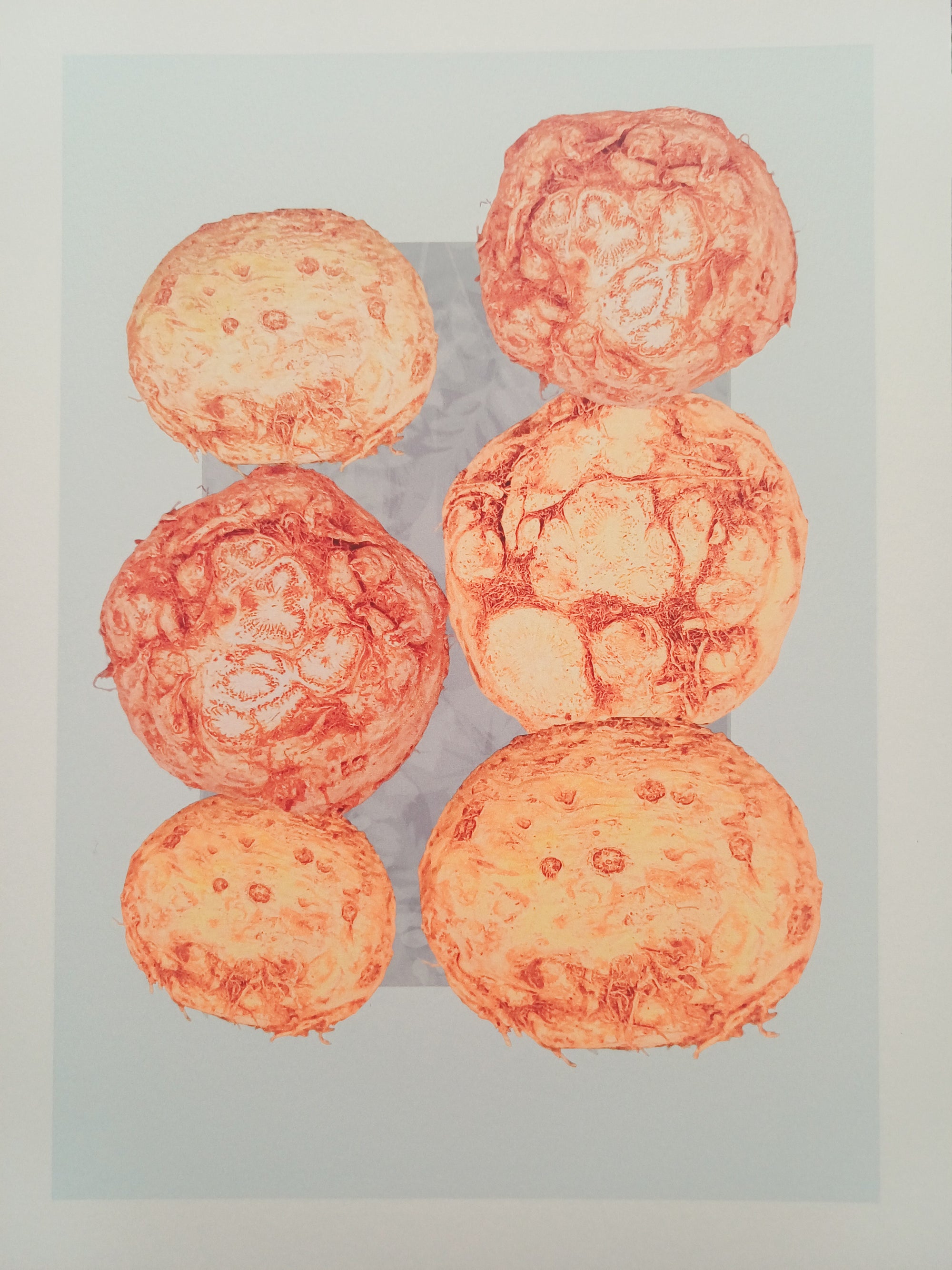 The Humble Celeric Fine Art Print