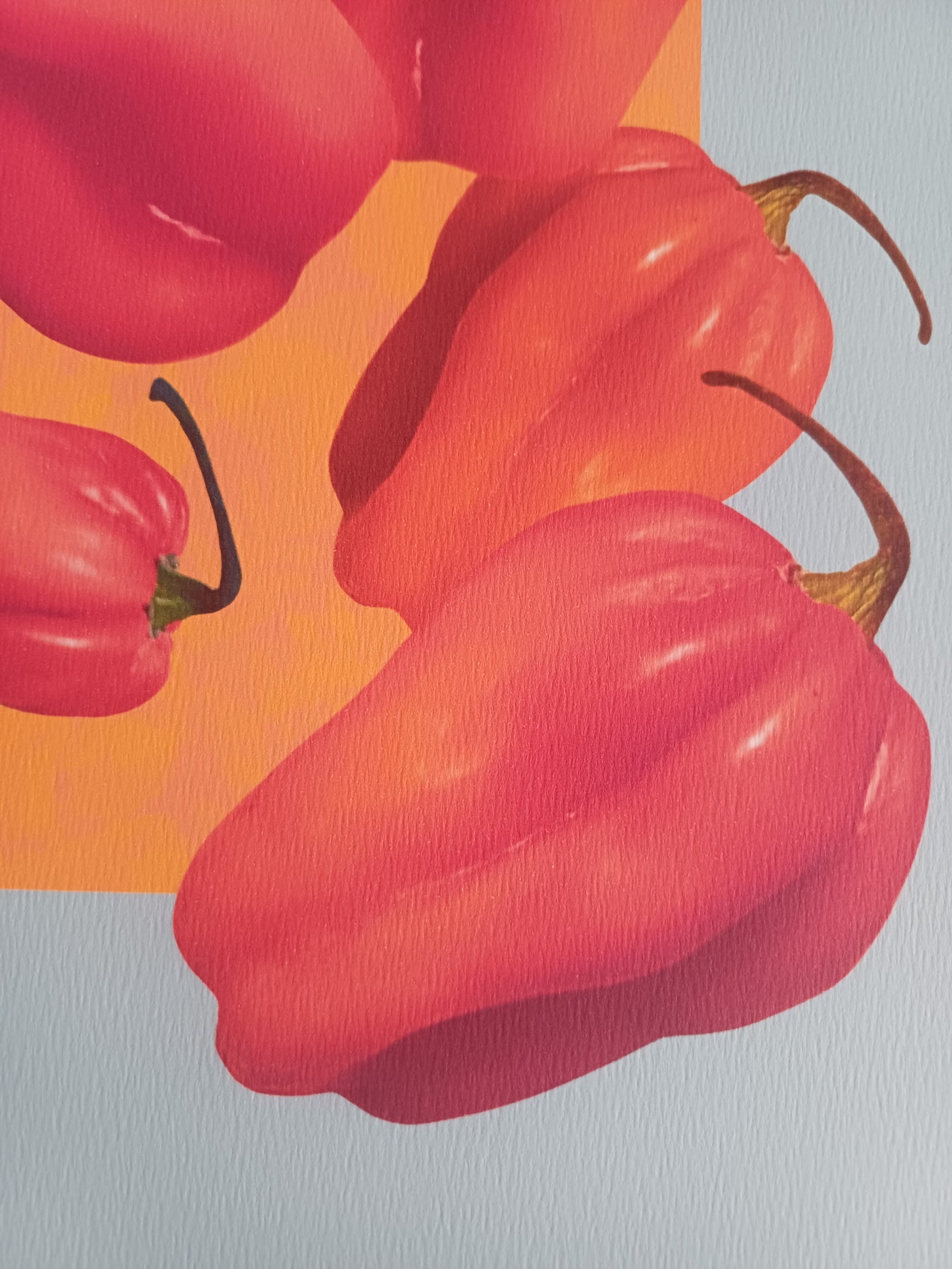 Scotch Bonnet Contained Heat Fine Art Print