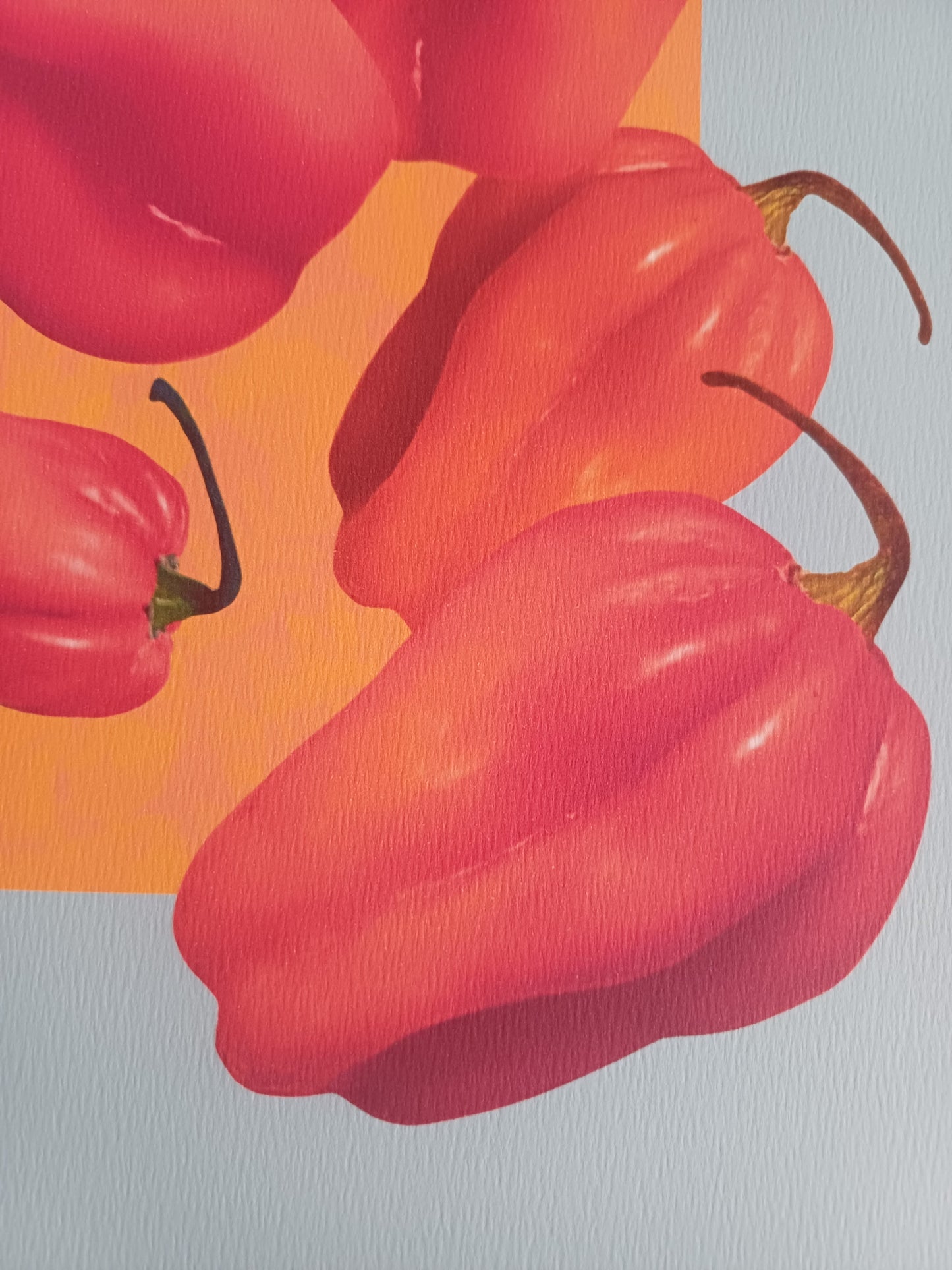 Scotch Bonnet Contained Heat Fine Art Print