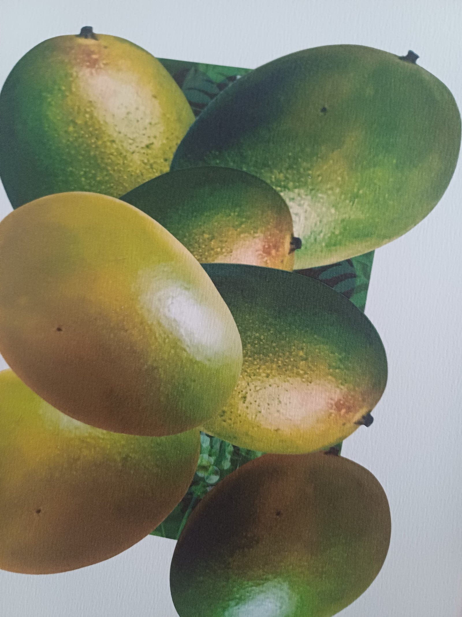 Who Likes the Mango Fine Art Print