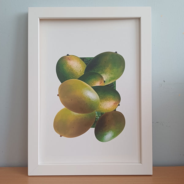 Who Likes the Mango Fine Art Print