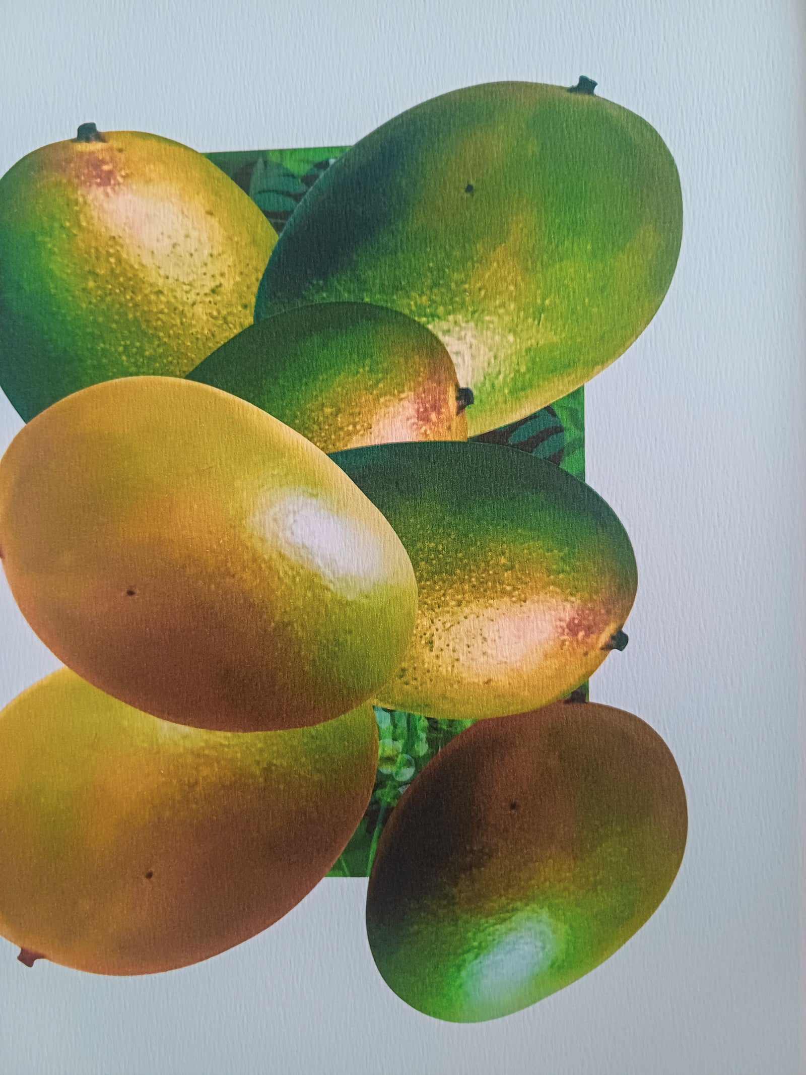 Who likes the Mango fine art print