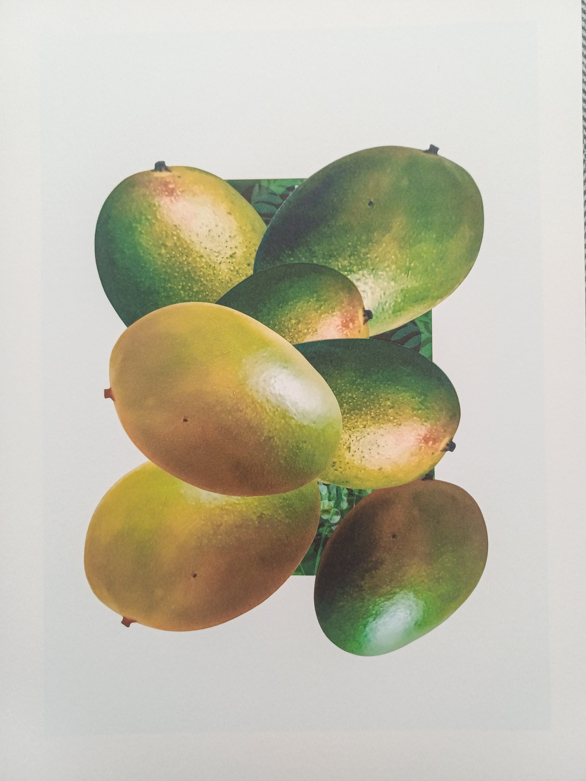 Who likes the Mango fine art print