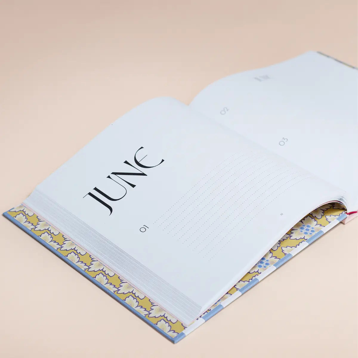 Book of Special Days - Classic Stripe
